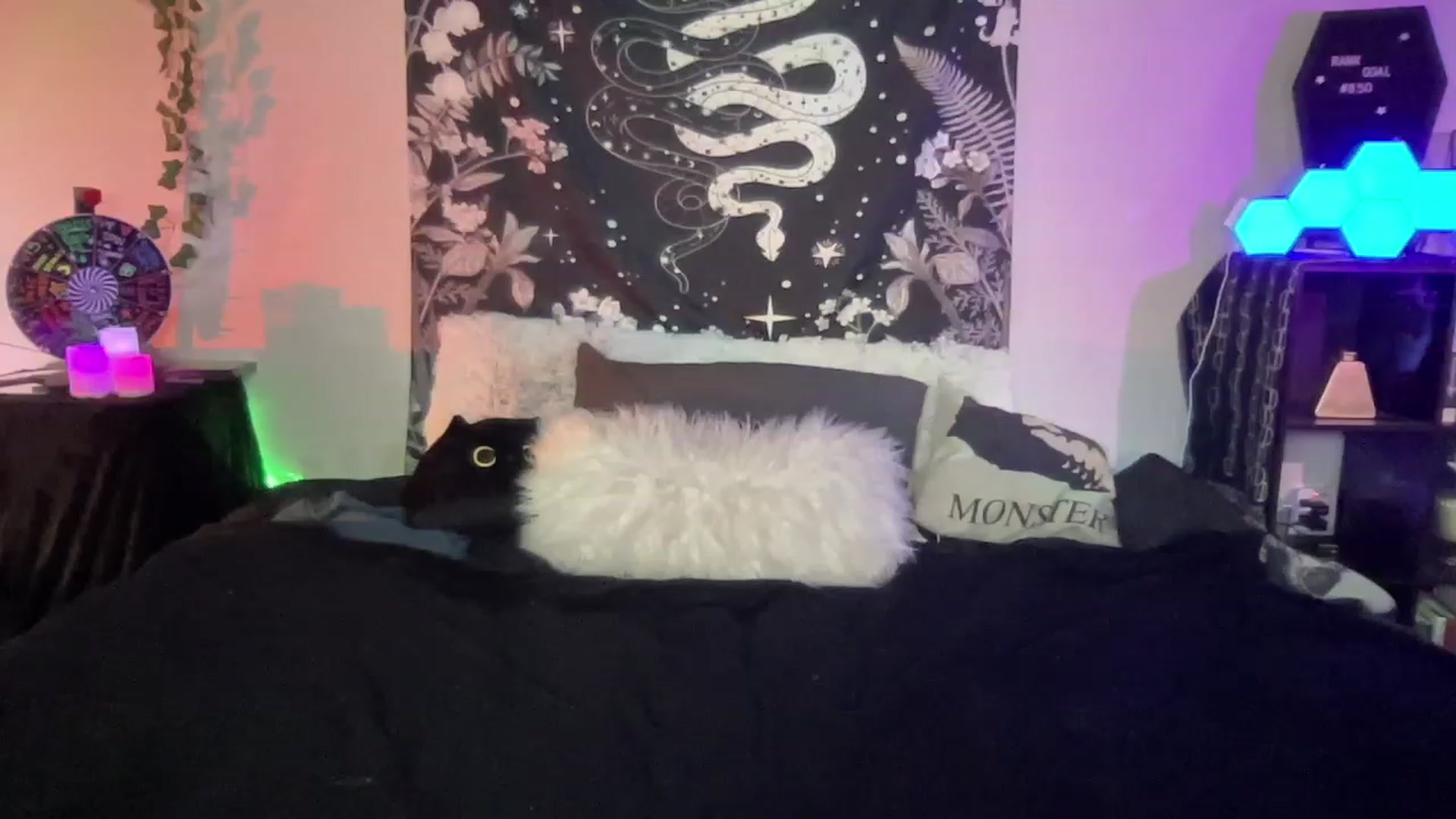 Gallery image thumbnail from RileyWoods's myfreecams stream on, 02/13/2023, 05:48 image 13 of 20