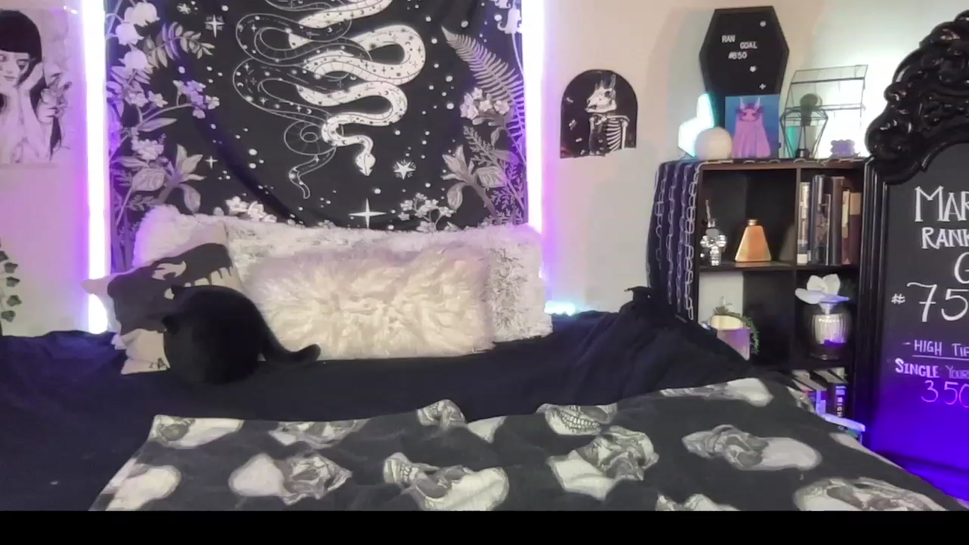 Gallery image thumbnail from RileyWoods's myfreecams stream on, 03/11/2023, 02:59 image 16 of 20