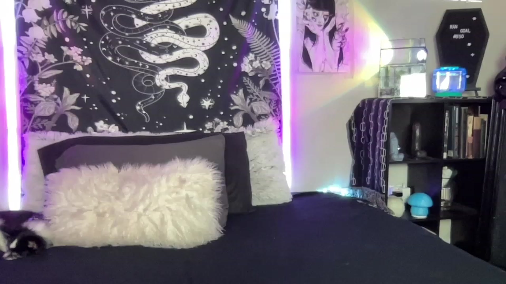 Gallery image thumbnail from RileyWoods's myfreecams stream on, 03/27/2023, 23:36 image 18 of 20
