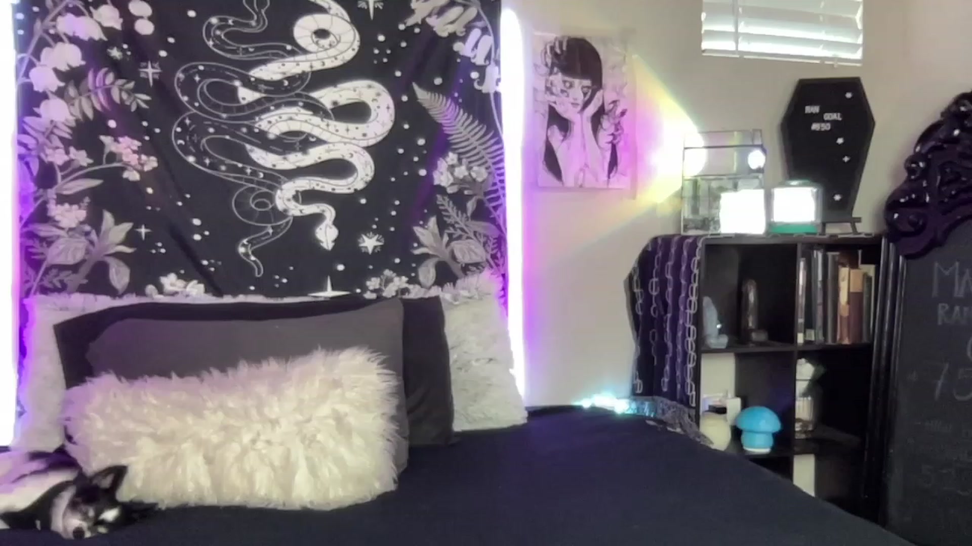 Gallery image thumbnail from RileyWoods's myfreecams stream on, 03/28/2023, 01:54 image 7 of 20
