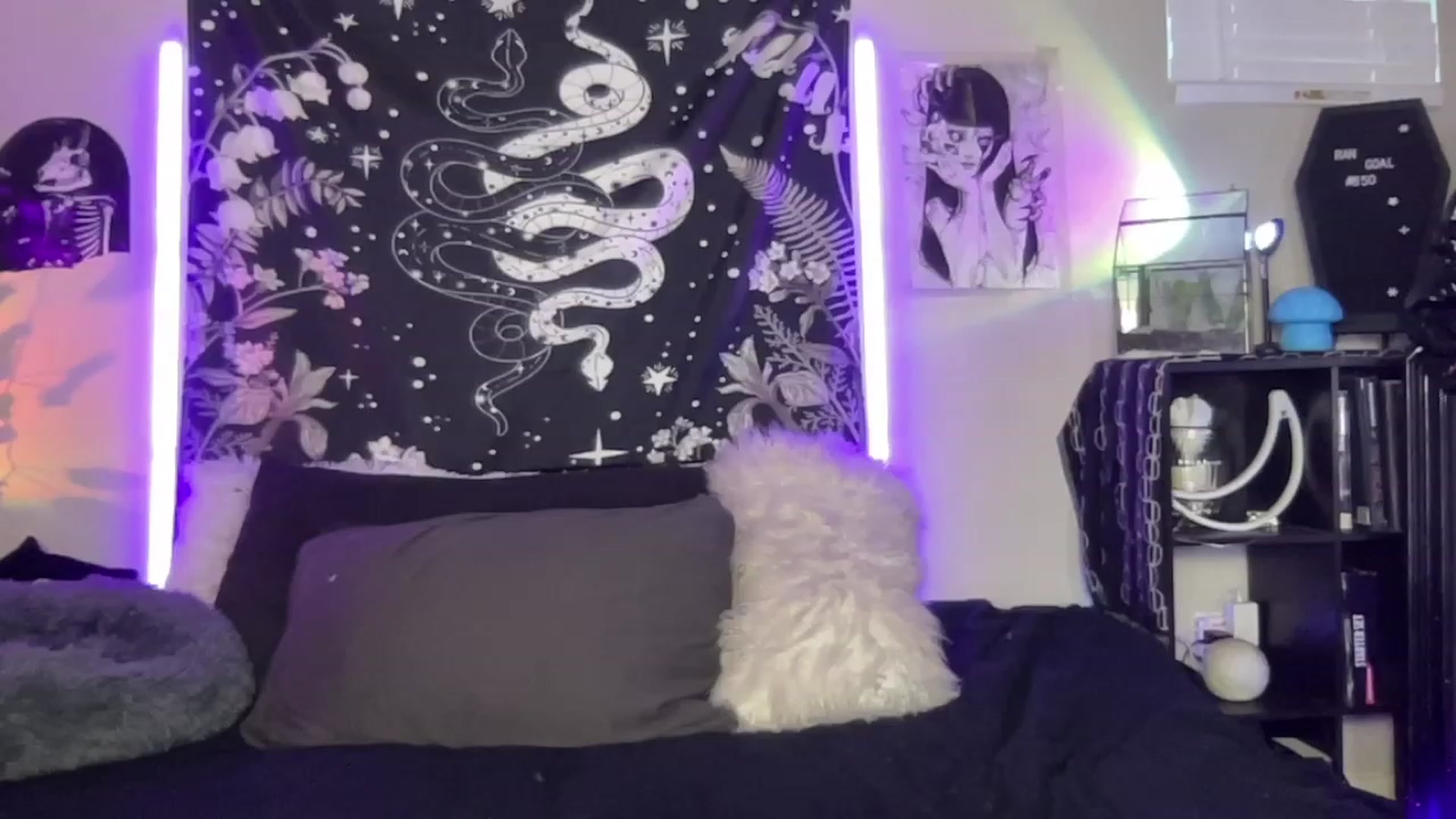 Gallery image thumbnail from RileyWoods's myfreecams stream on, 04/10/2023, 02:22 image 14 of 20