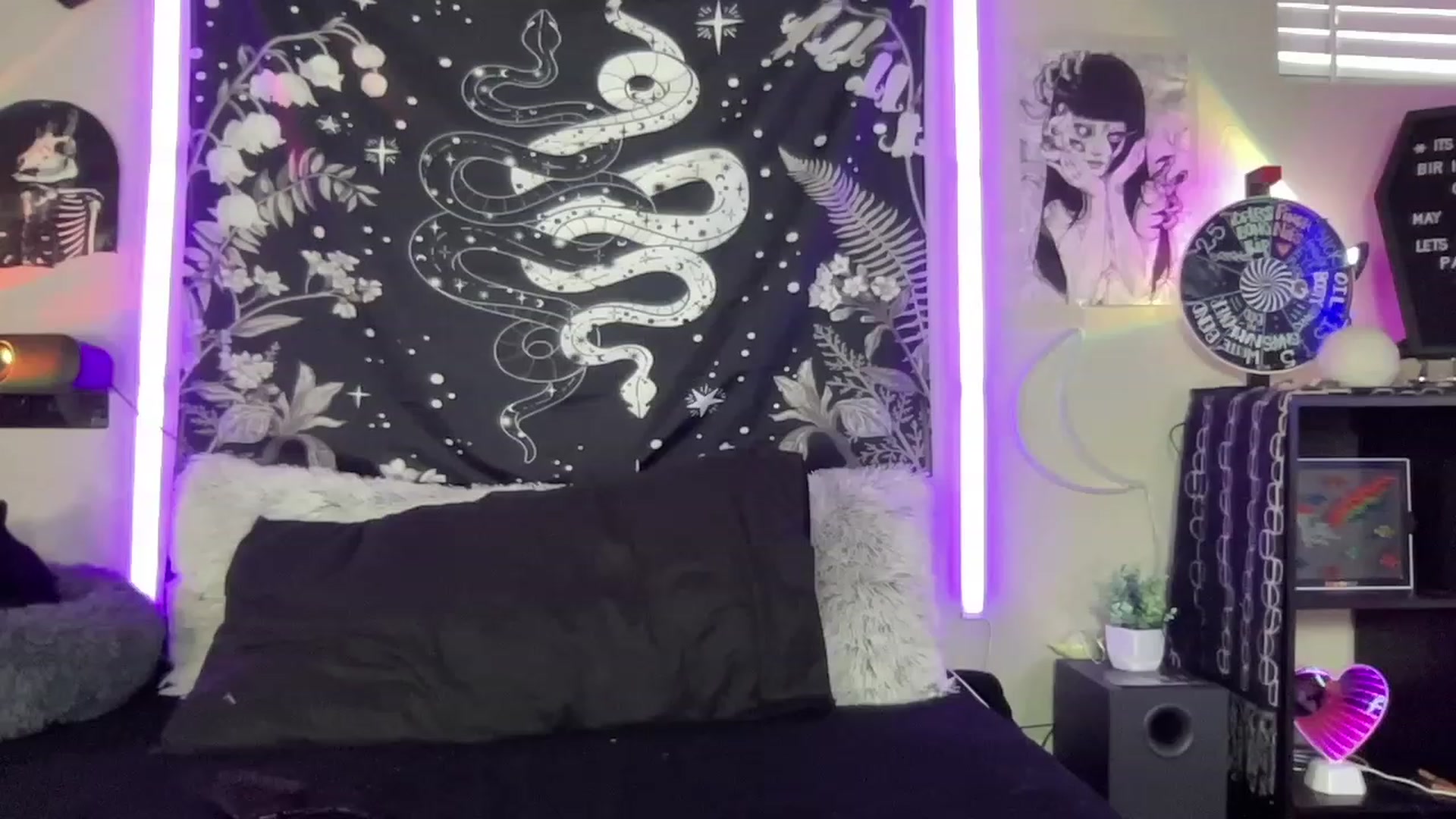 Gallery image thumbnail from RileyWoods's myfreecams stream on, 05/31/2023, 02:34 image 7 of 20