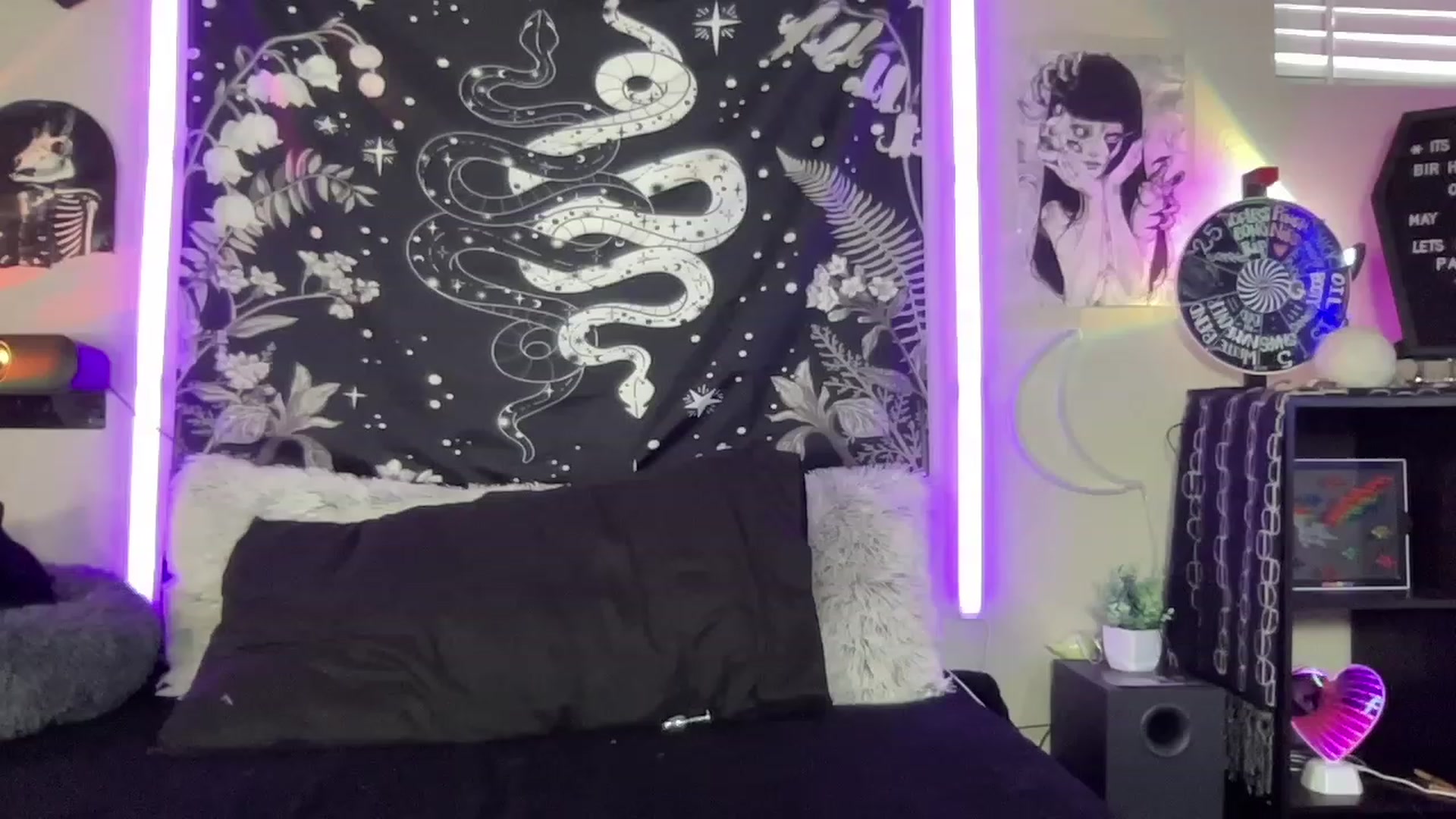 Gallery image thumbnail from RileyWoods's myfreecams stream on, 05/31/2023, 02:34 image 8 of 20