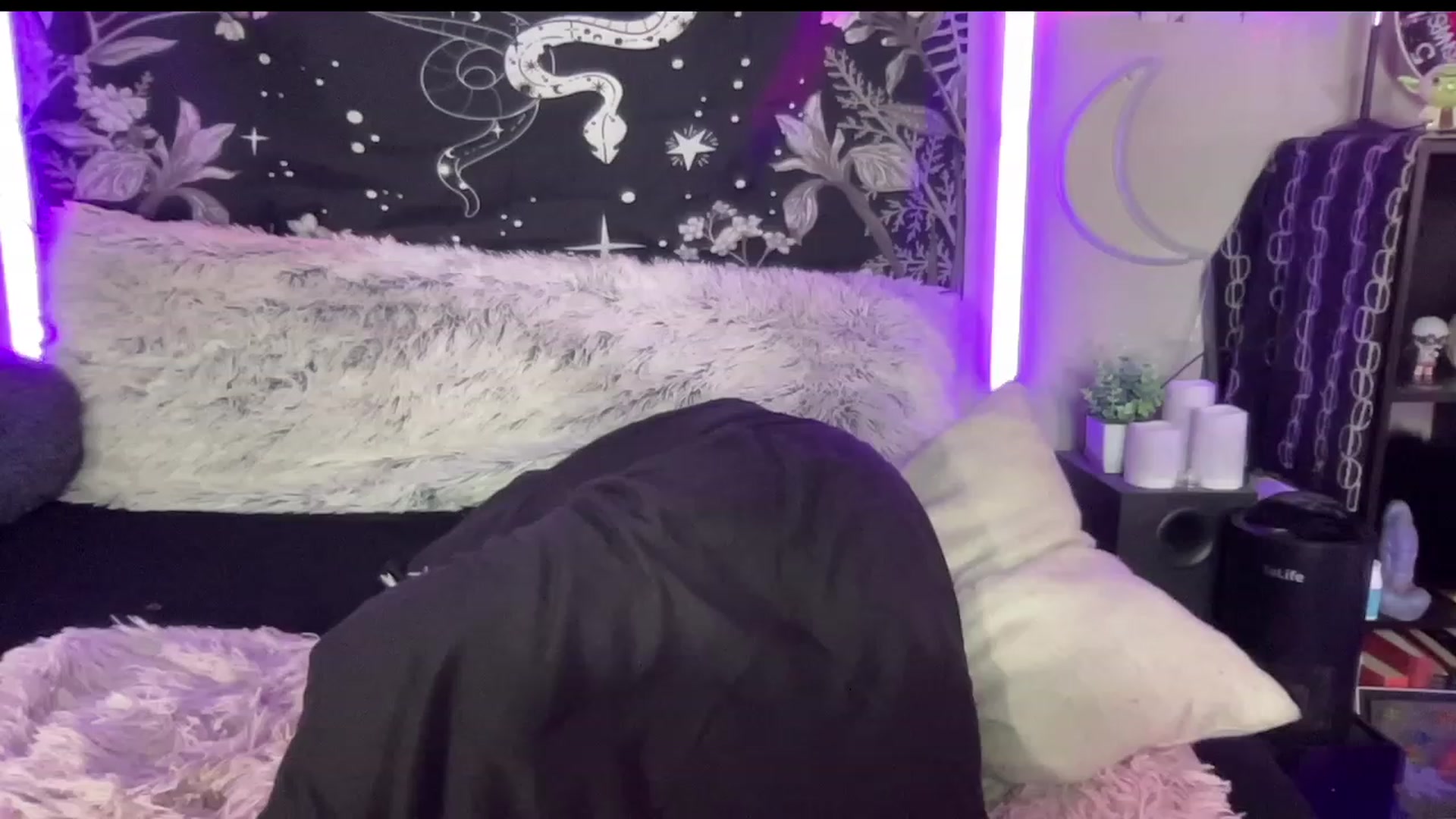 Gallery image thumbnail from RileyWoods's myfreecams stream on, 06/22/2023, 23:40 image 10 of 20
