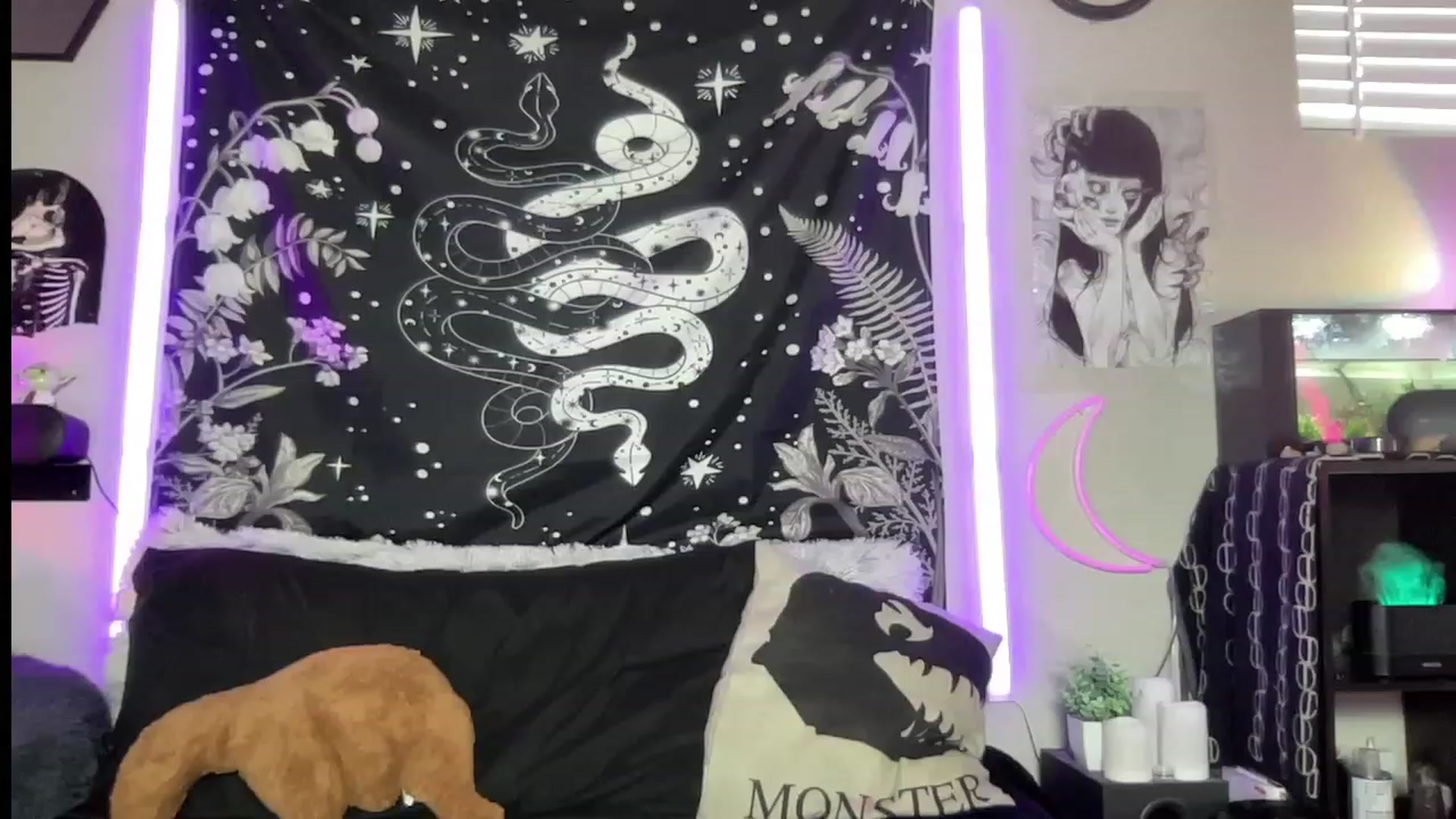 Gallery image thumbnail from RileyWoods's myfreecams stream on, 07/02/2023, 23:58 image 6 of 20