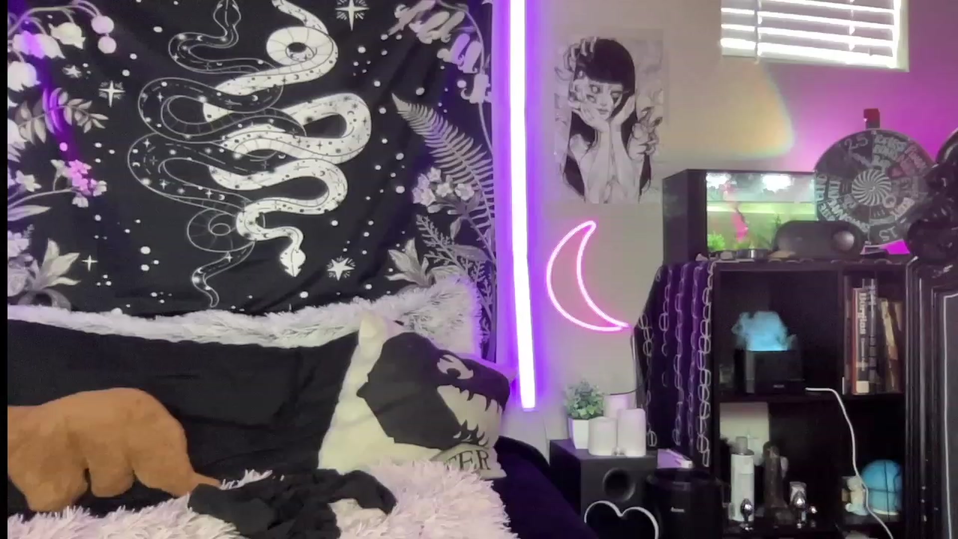 Gallery image thumbnail from RileyWoods's myfreecams stream on, 07/03/2023, 23:51 image 9 of 20