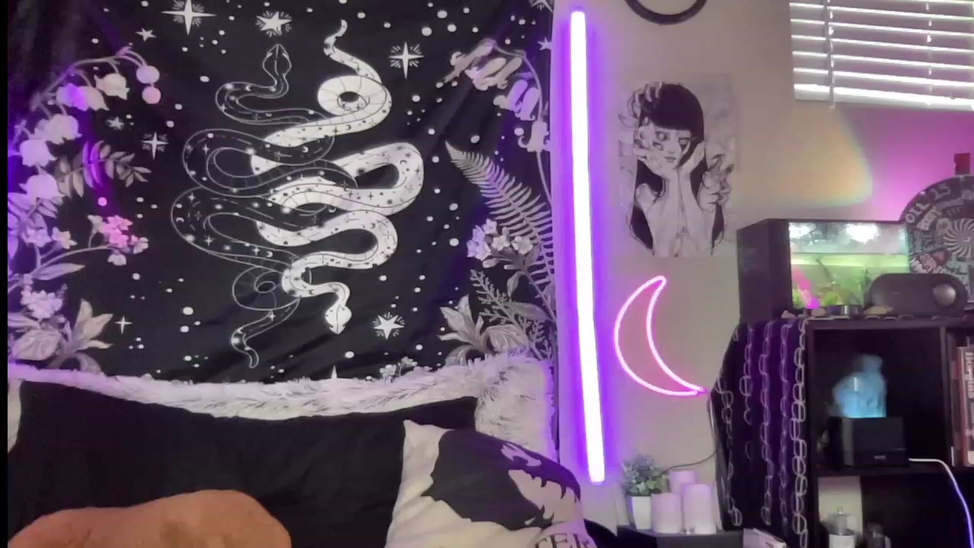Gallery image thumbnail from RileyWoods's myfreecams stream on, 07/04/2023, 02:19 image 9 of 20