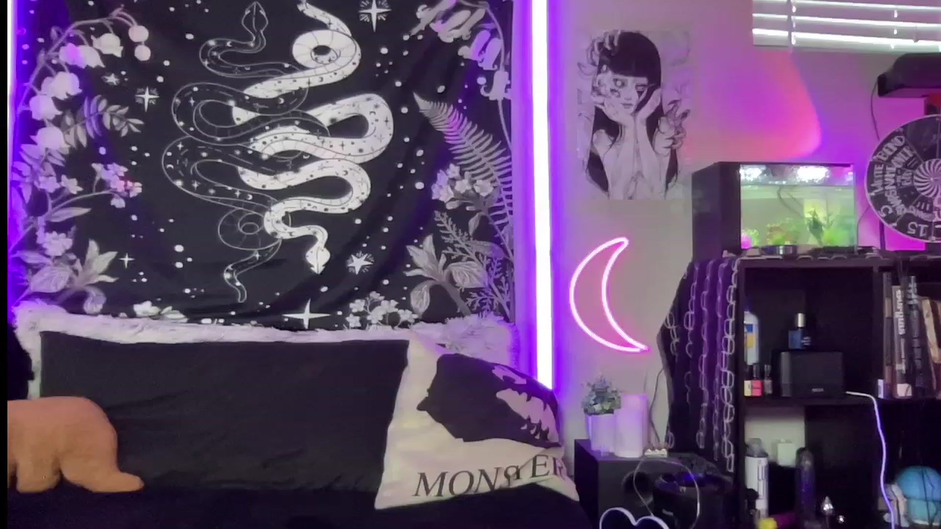 Gallery image thumbnail from RileyWoods's myfreecams stream on, 07/07/2023, 02:40 image 10 of 20