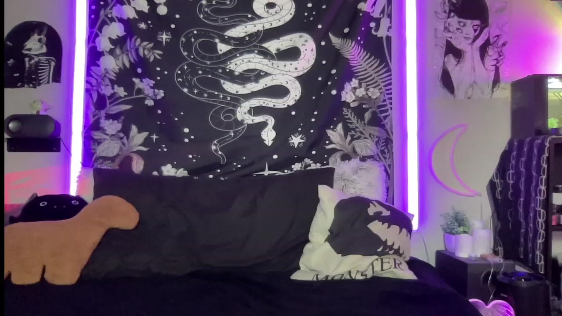 Gallery image thumbnail from RileyWoods's myfreecams stream on, 07/19/2023, 02:17 image 18 of 20