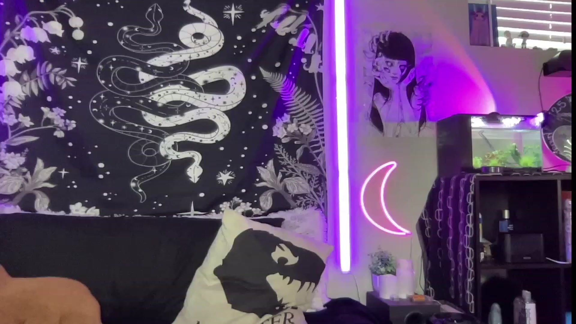 Gallery image thumbnail from RileyWoods's myfreecams stream on, 07/22/2023, 01:05 image 16 of 20