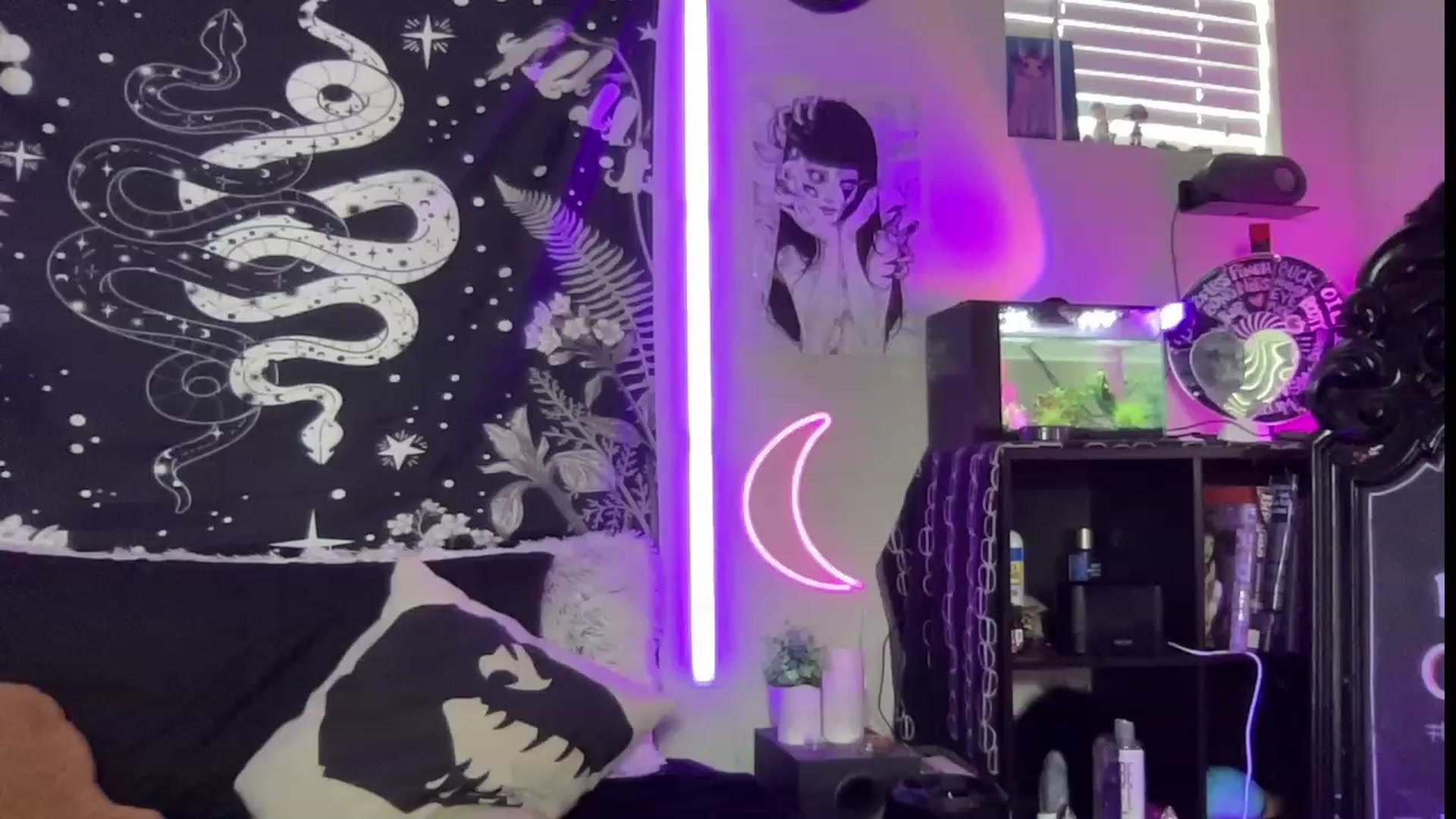 Gallery image thumbnail from RileyWoods's myfreecams stream on, 07/24/2023, 24:43 image 6 of 20