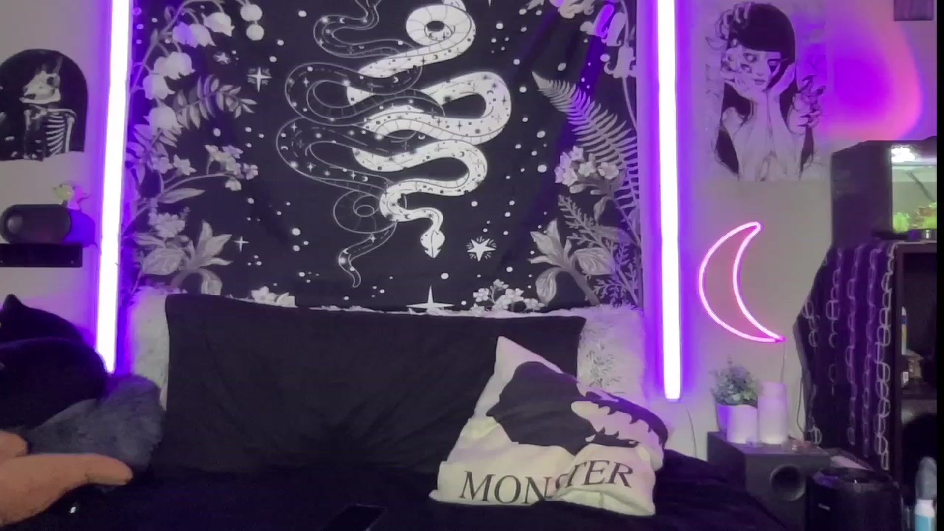 Gallery image thumbnail from RileyWoods's myfreecams stream on, 07/24/2023, 24:43 image 18 of 20