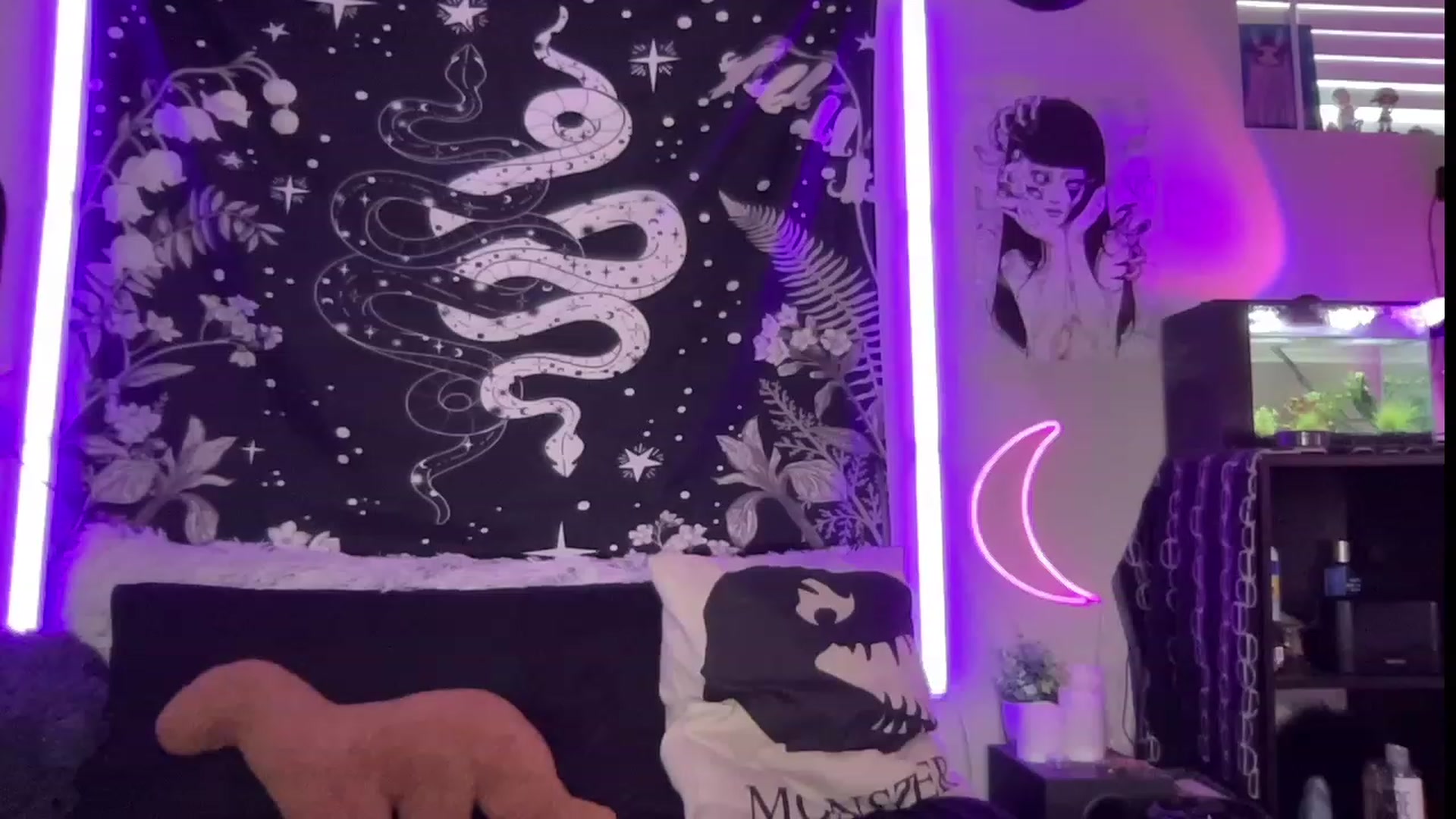 Gallery image thumbnail from RileyWoods's myfreecams stream on, 07/25/2023, 01:00 image 18 of 20