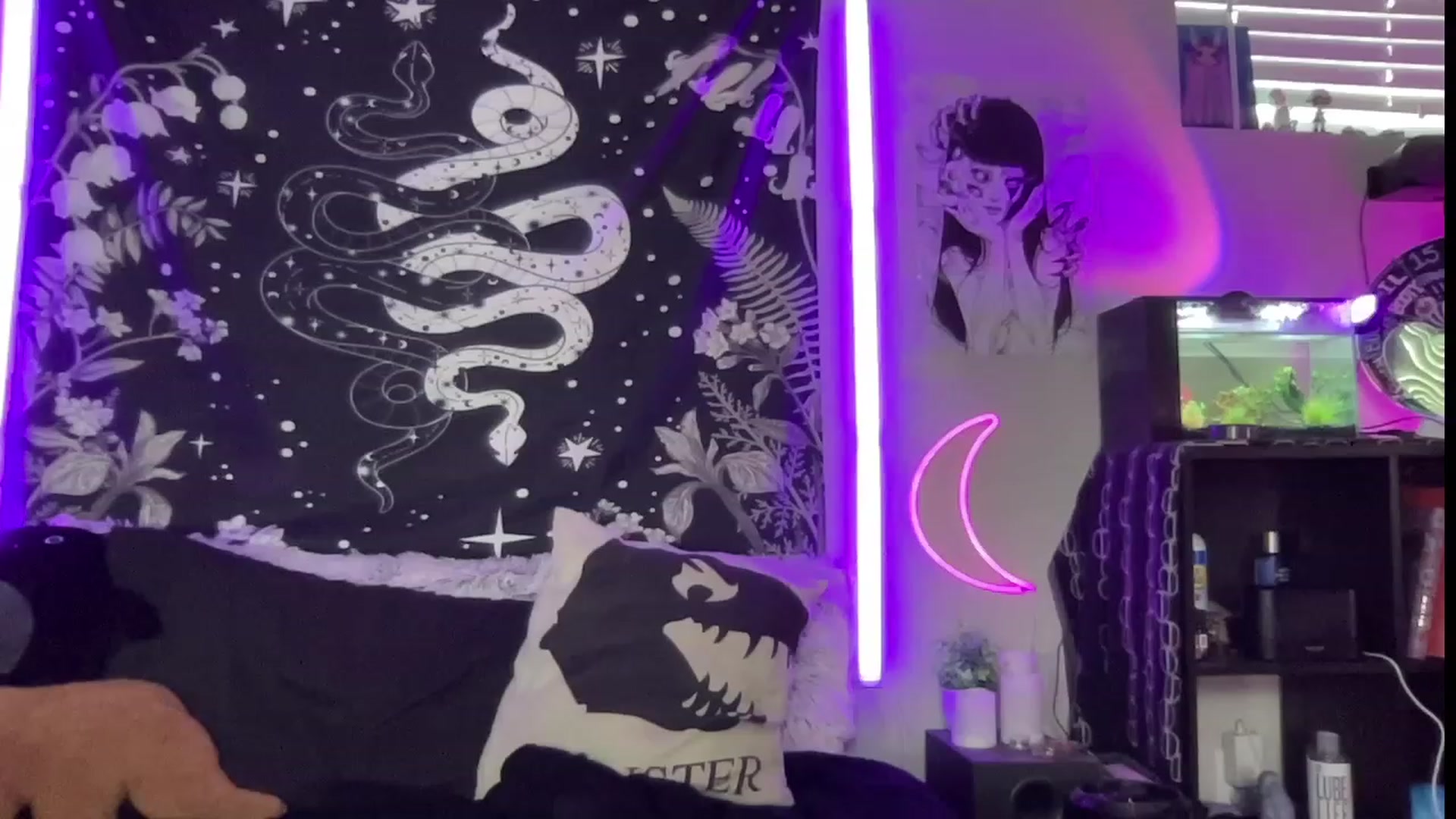 Gallery image thumbnail from RileyWoods's myfreecams stream on, 07/26/2023, 24:01 image 6 of 20