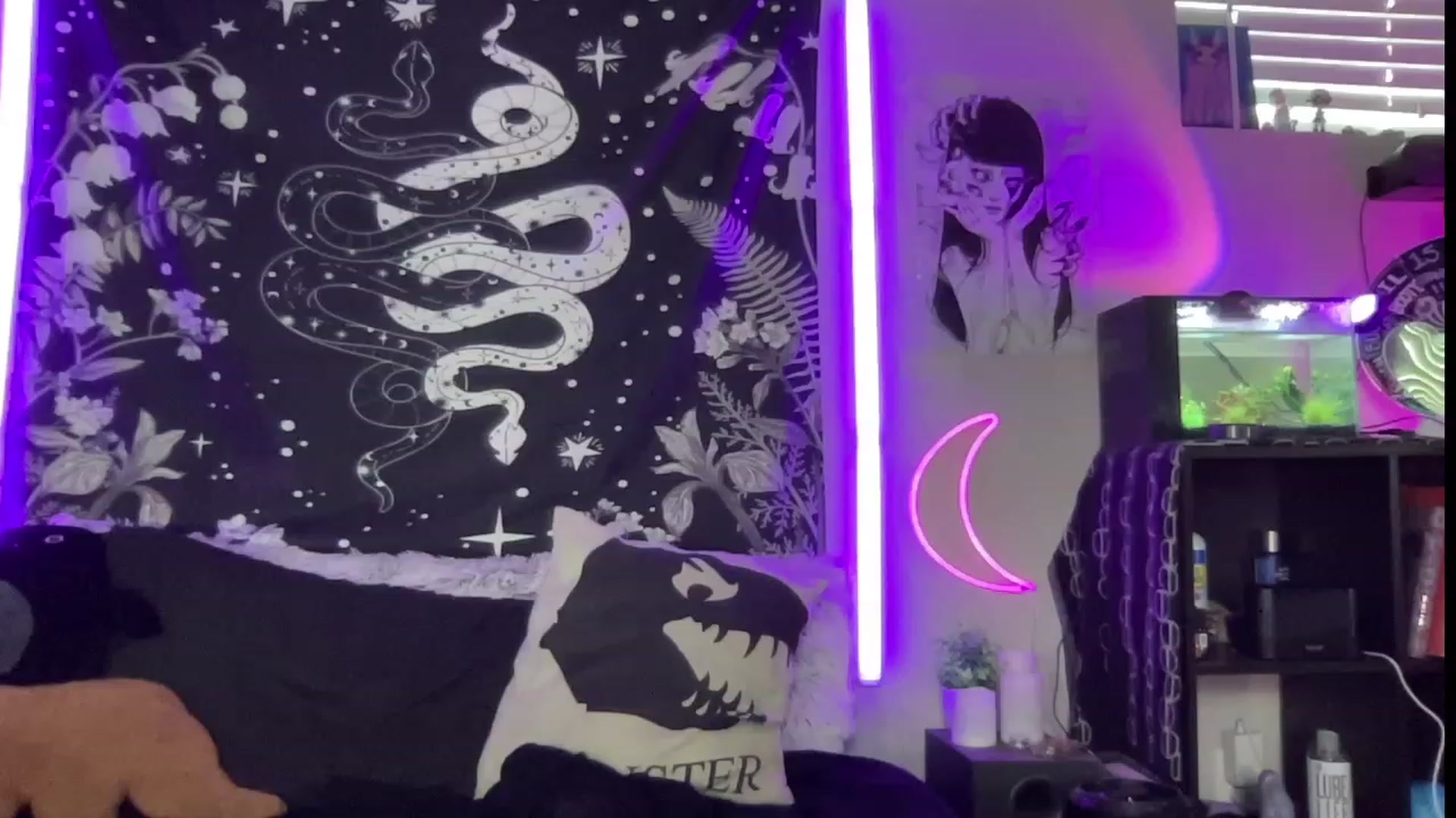 Gallery image thumbnail from RileyWoods's myfreecams stream on, 07/26/2023, 24:01 image 5 of 20