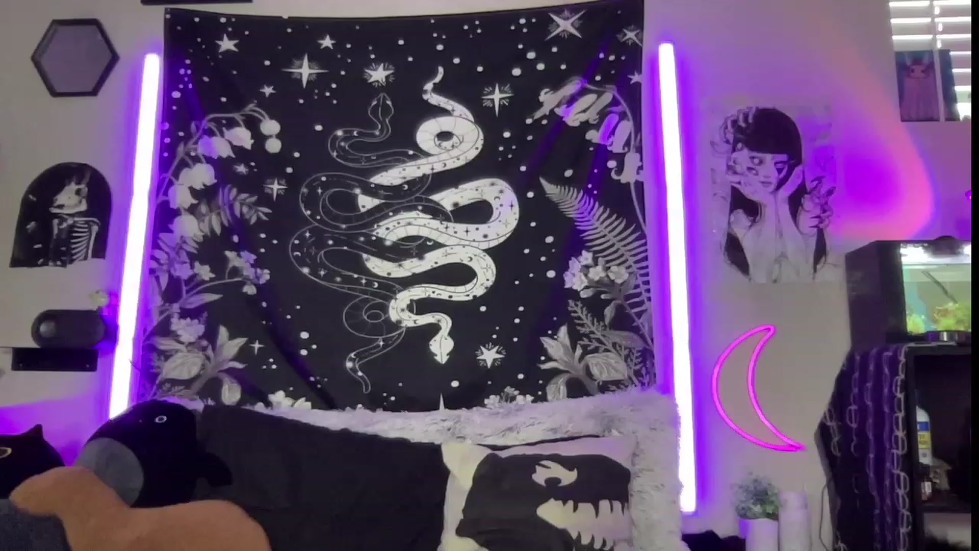 Gallery image thumbnail from RileyWoods's myfreecams stream on, 07/27/2023, 24:24 image 1 of 20