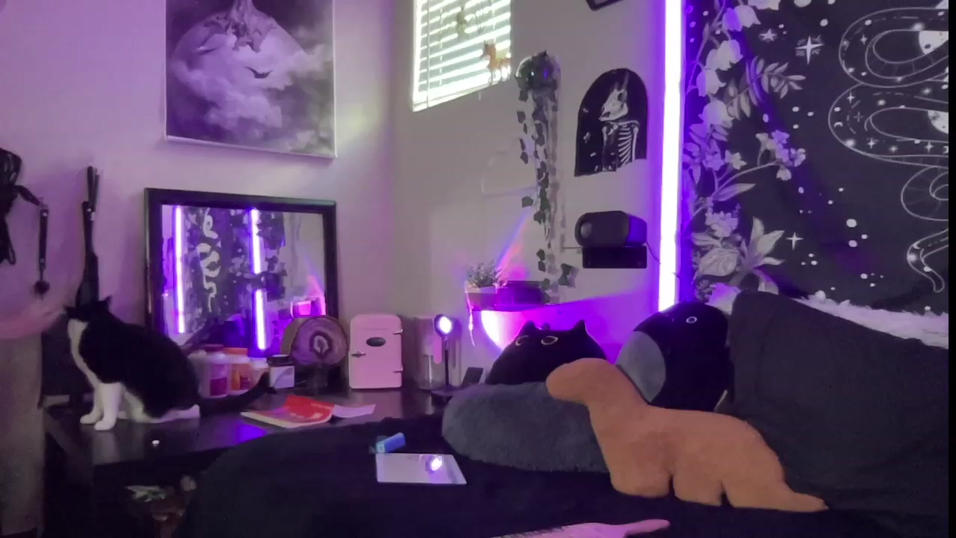Gallery image thumbnail from RileyWoods's myfreecams stream on, 07/27/2023, 24:49 image 11 of 20
