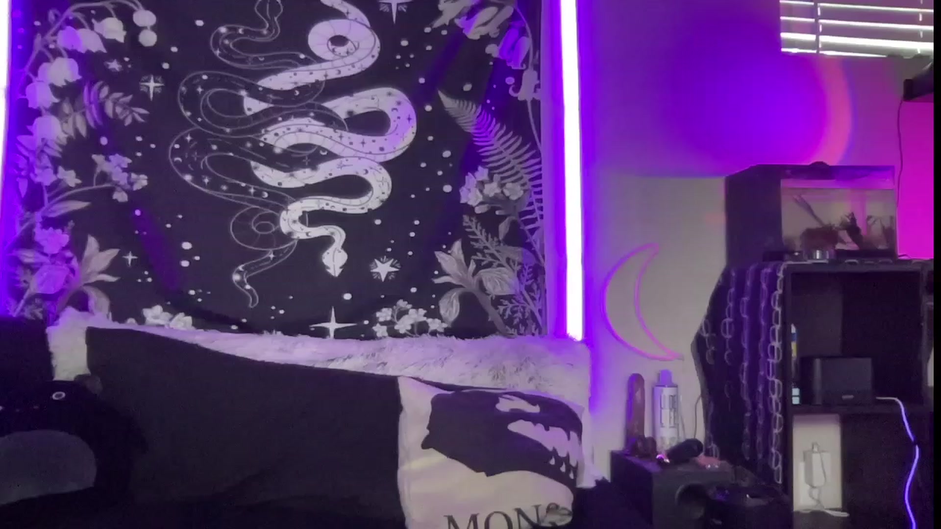 Gallery image thumbnail from RileyWoods's myfreecams stream on, 07/30/2023, 01:51 image 13 of 20