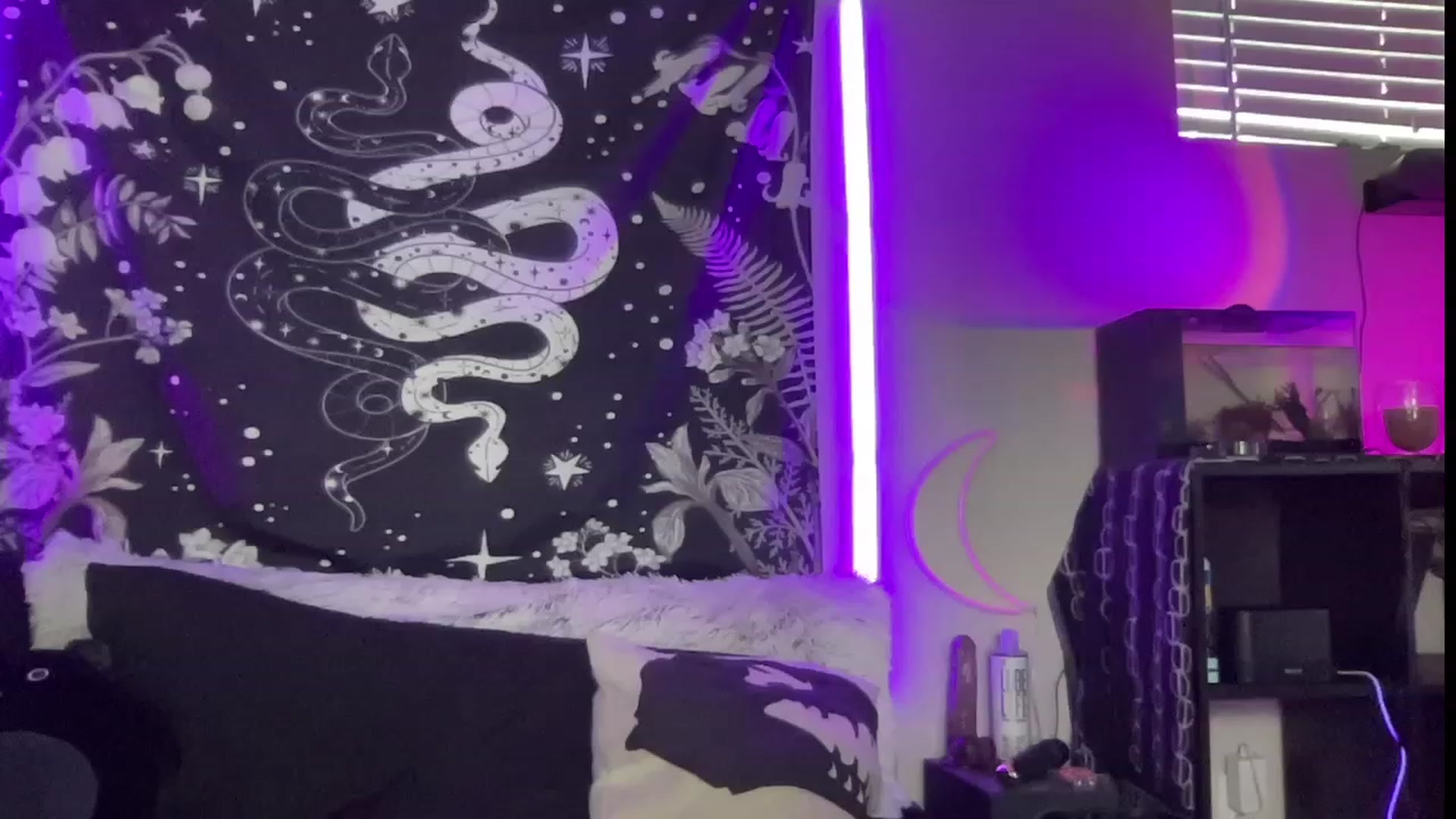 Gallery image thumbnail from RileyWoods's myfreecams stream on, 07/30/2023, 01:51 image 8 of 20