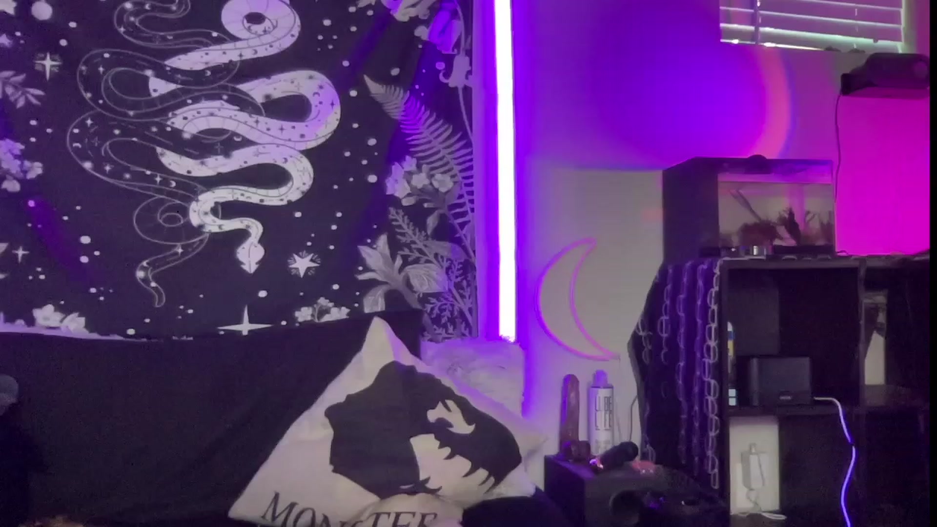 Gallery image thumbnail from RileyWoods's myfreecams stream on, 07/30/2023, 03:27 image 12 of 20