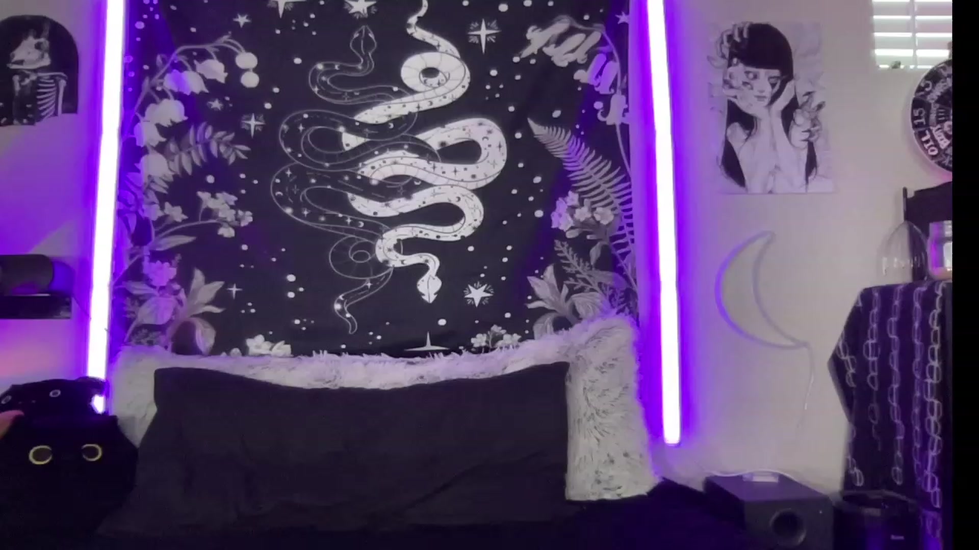 Gallery image thumbnail from RileyWoods's myfreecams stream on, 08/05/2023, 01:13 image 9 of 20