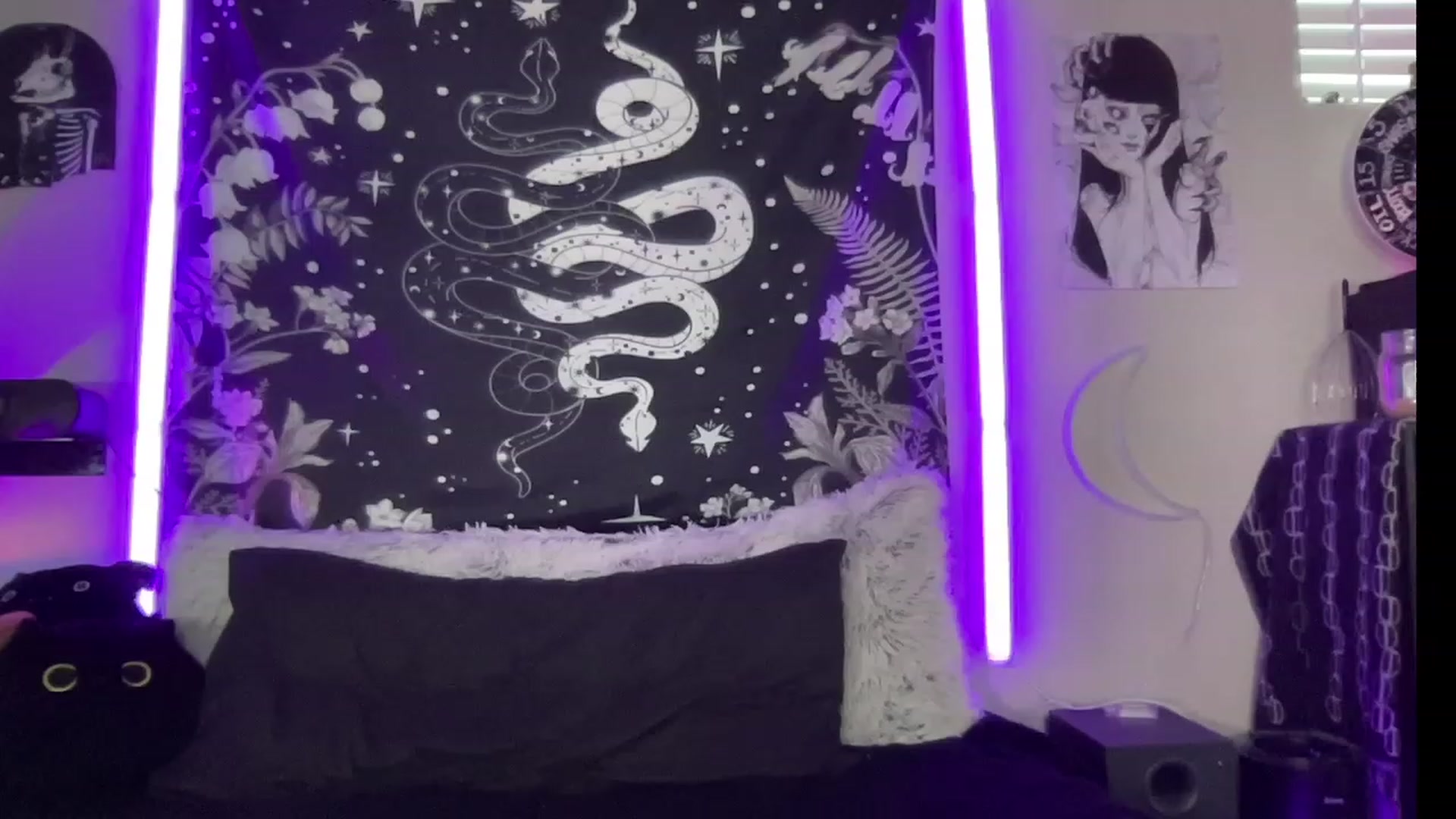 Gallery image thumbnail from RileyWoods's myfreecams stream on, 08/05/2023, 01:13 image 10 of 20