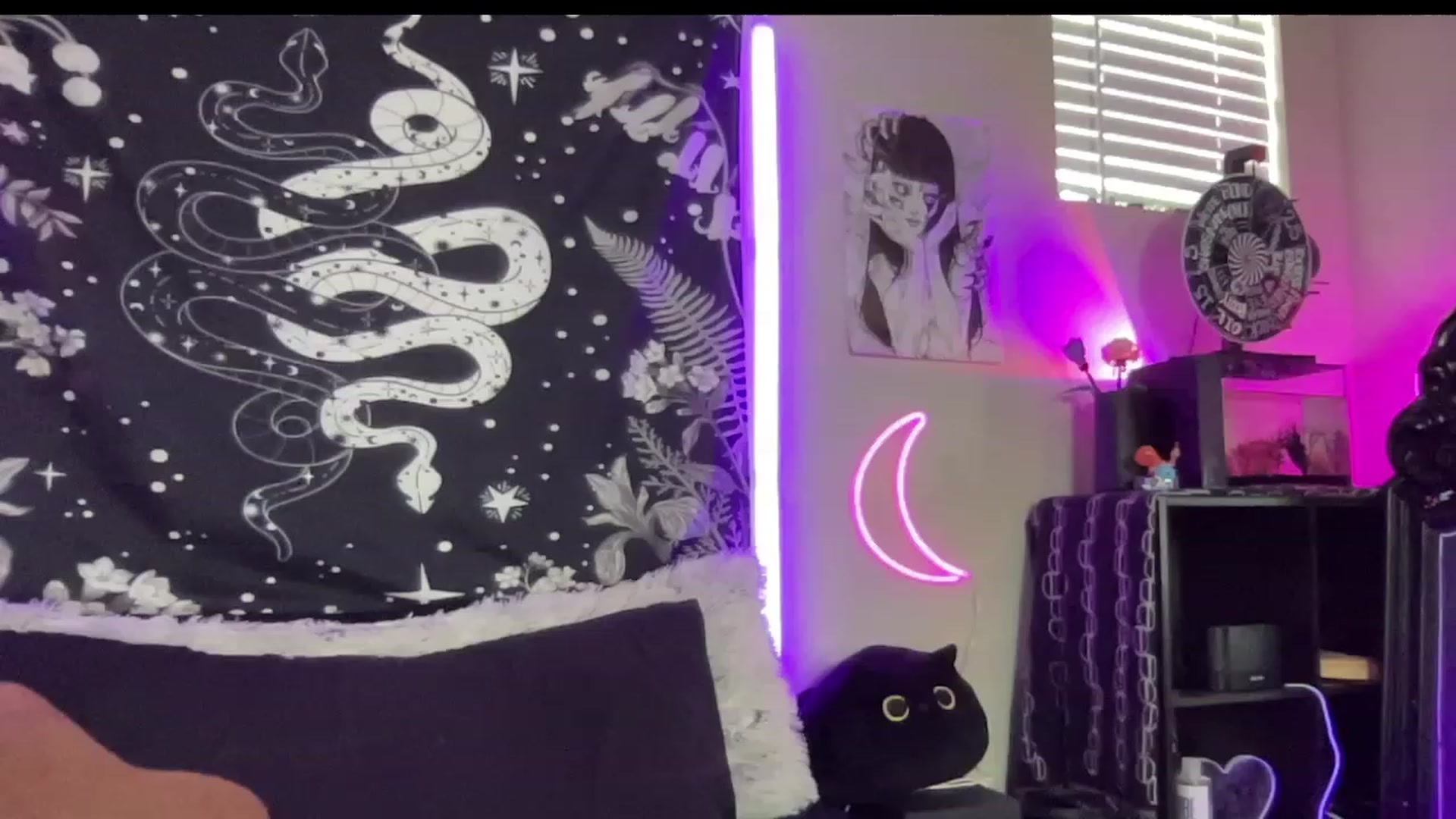 Gallery image thumbnail from RileyWoods's myfreecams stream on, 08/26/2023, 23:12 image 16 of 20