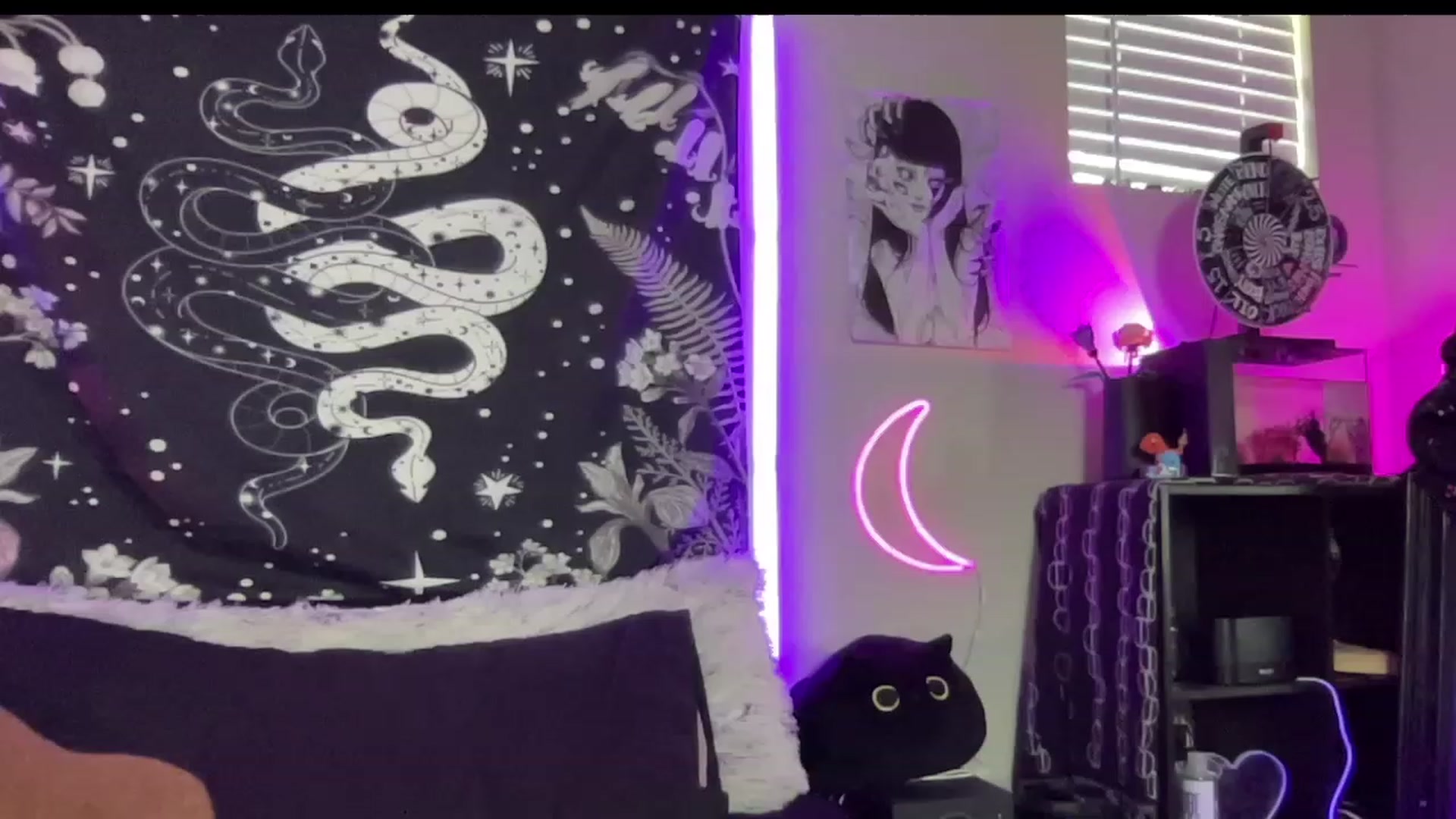 Gallery image thumbnail from RileyWoods's myfreecams stream on, 08/27/2023, 01:37 image 12 of 20