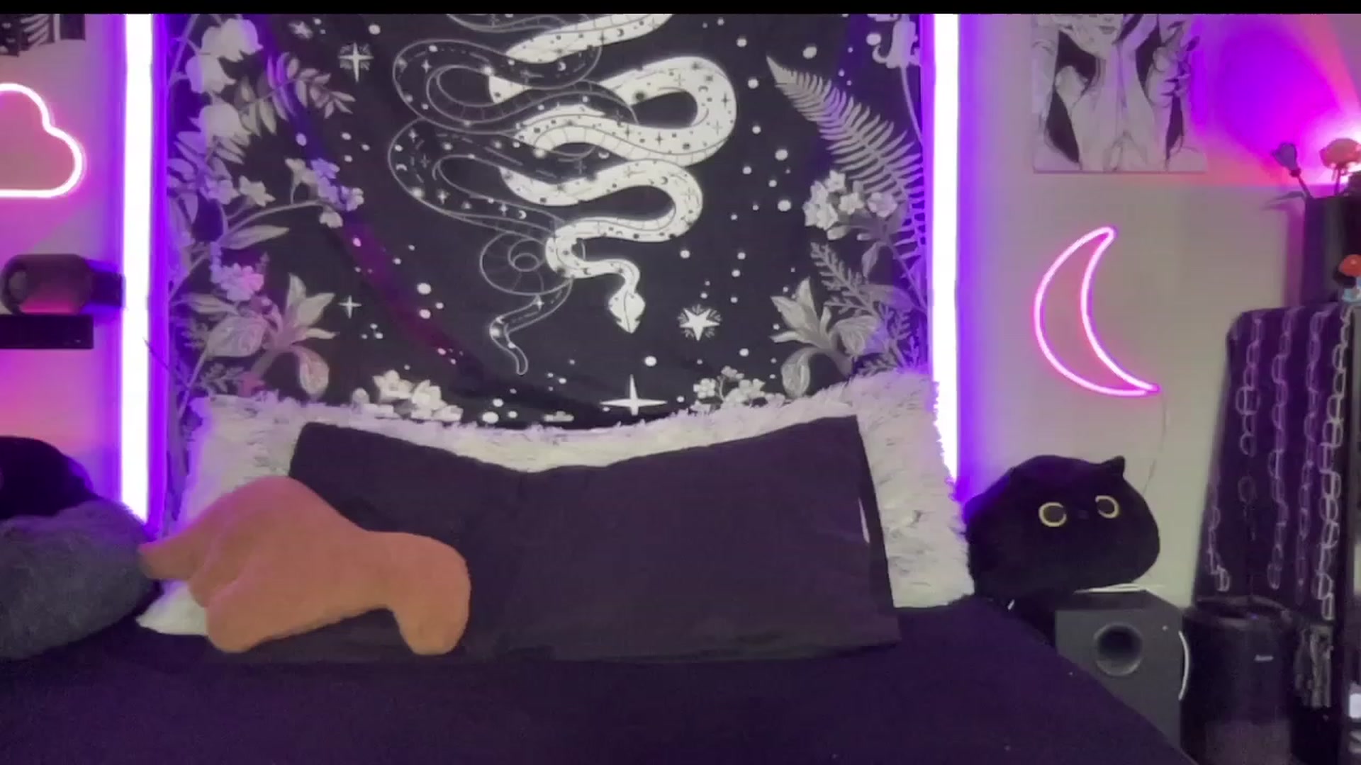 Gallery image thumbnail from RileyWoods's myfreecams stream on, 08/27/2023, 01:37 image 2 of 20