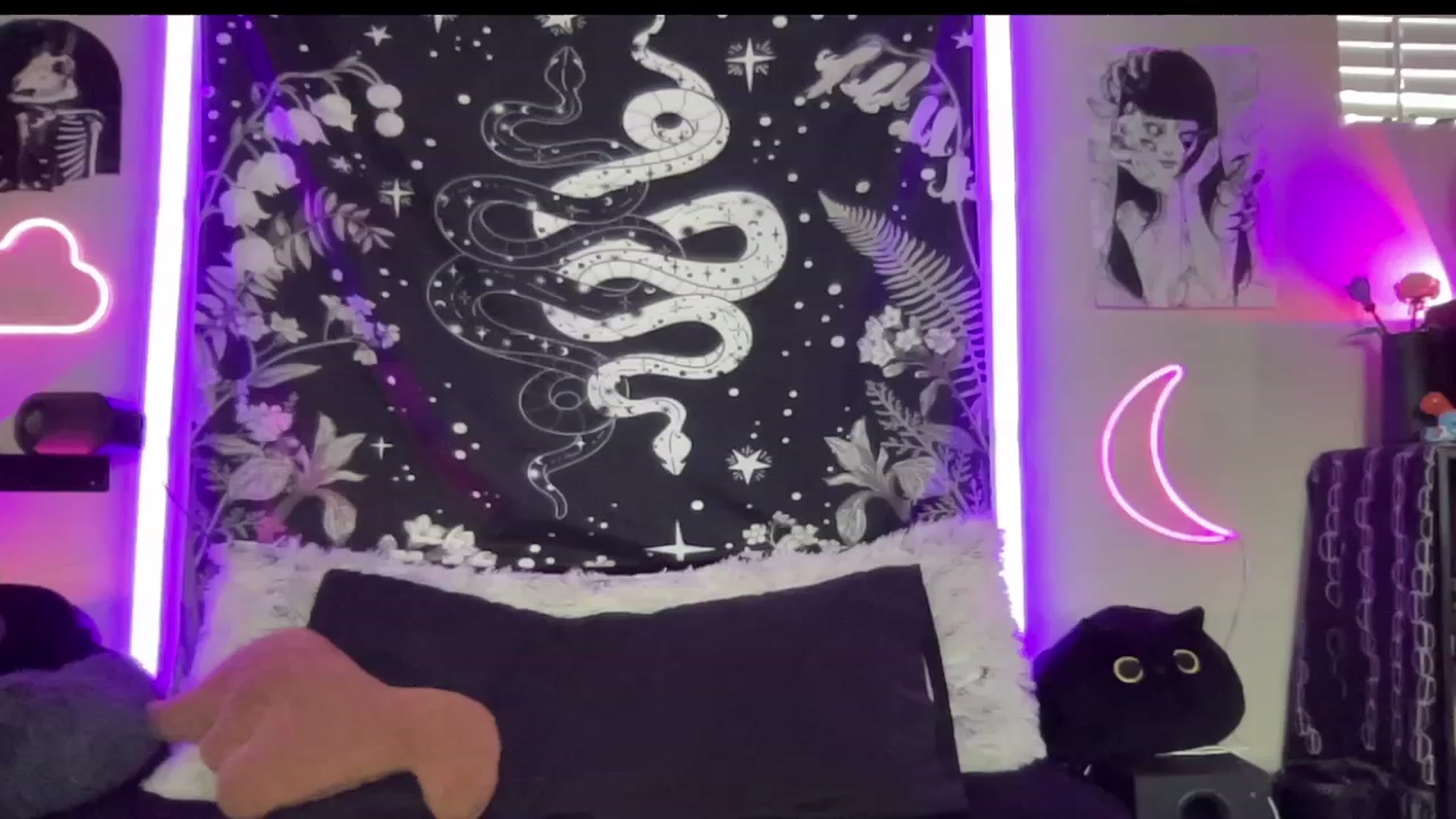 Gallery image thumbnail from RileyWoods's myfreecams stream on, 08/27/2023, 01:37 image 3 of 20