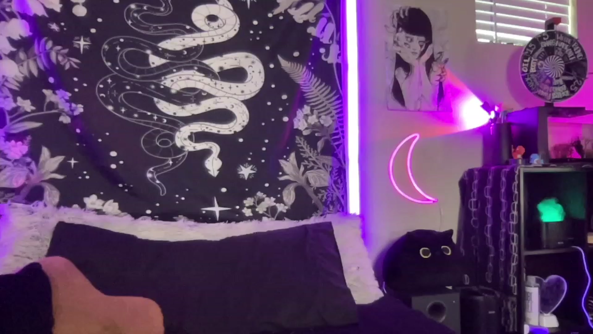 Gallery image thumbnail from RileyWoods's myfreecams stream on, 08/28/2023, 02:09 image 5 of 20