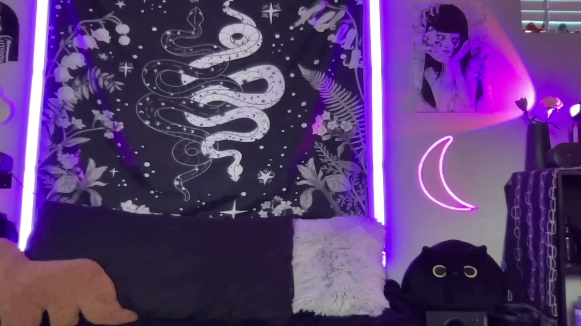 Gallery image thumbnail from RileyWoods's myfreecams stream on, 09/03/2023, 02:12 image 18 of 20
