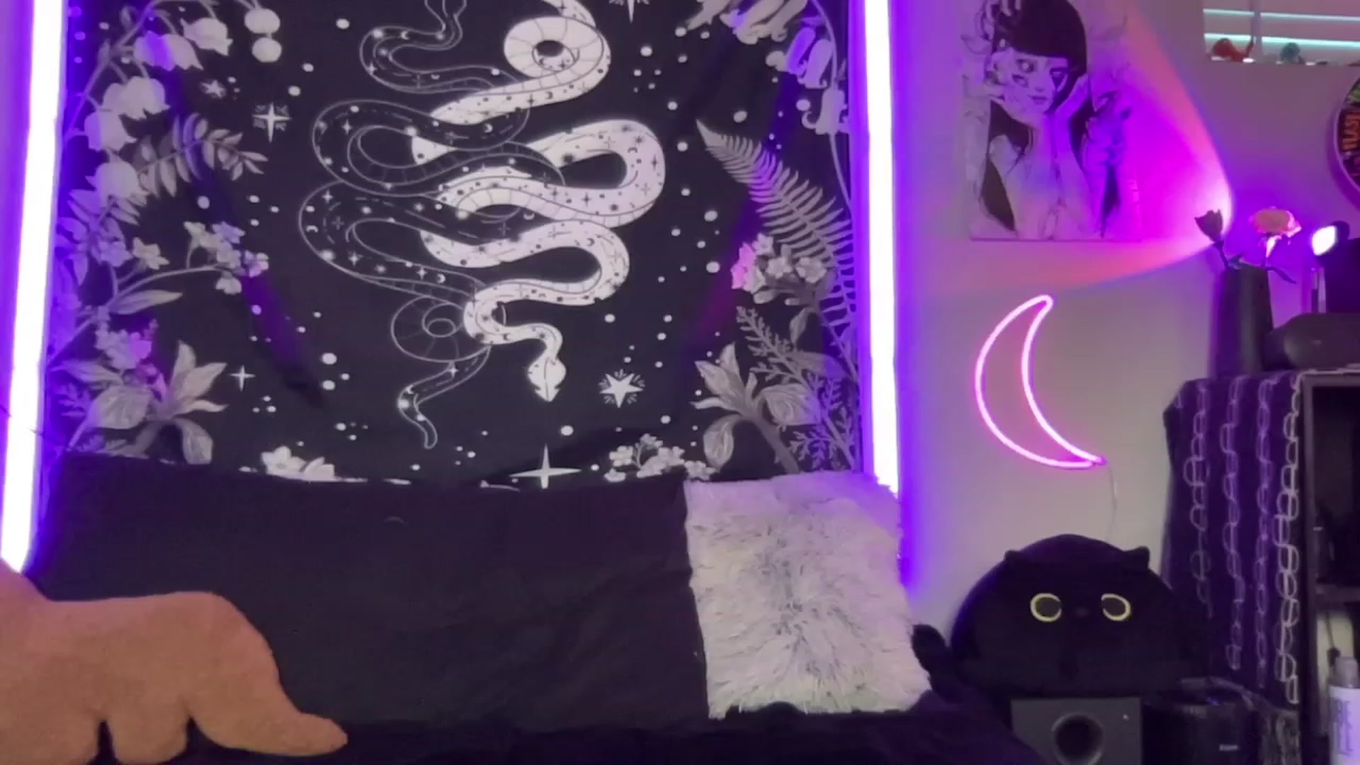 Gallery image thumbnail from RileyWoods's myfreecams stream on, 09/03/2023, 02:12 image 9 of 20
