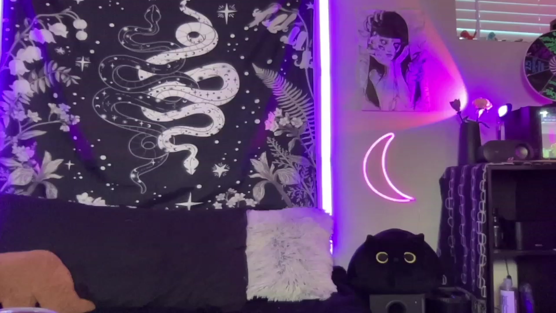 Gallery image thumbnail from RileyWoods's myfreecams stream on, 09/03/2023, 02:12 image 17 of 20