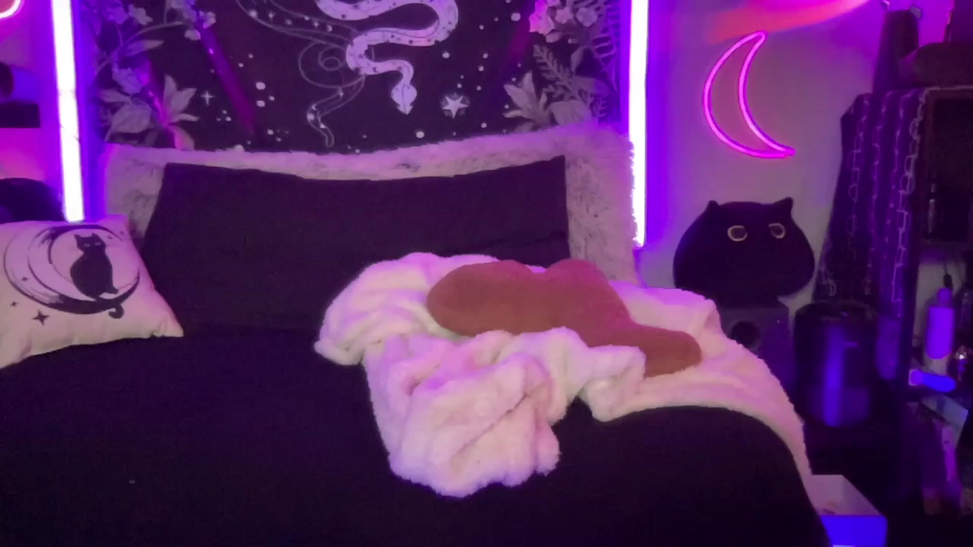 Gallery image thumbnail from RileyWoods's myfreecams stream on, 09/05/2023, 02:54 image 18 of 20