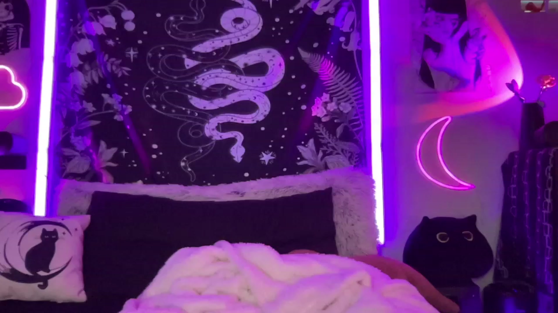 Gallery image thumbnail from RileyWoods's myfreecams stream on, 09/05/2023, 02:54 image 3 of 20