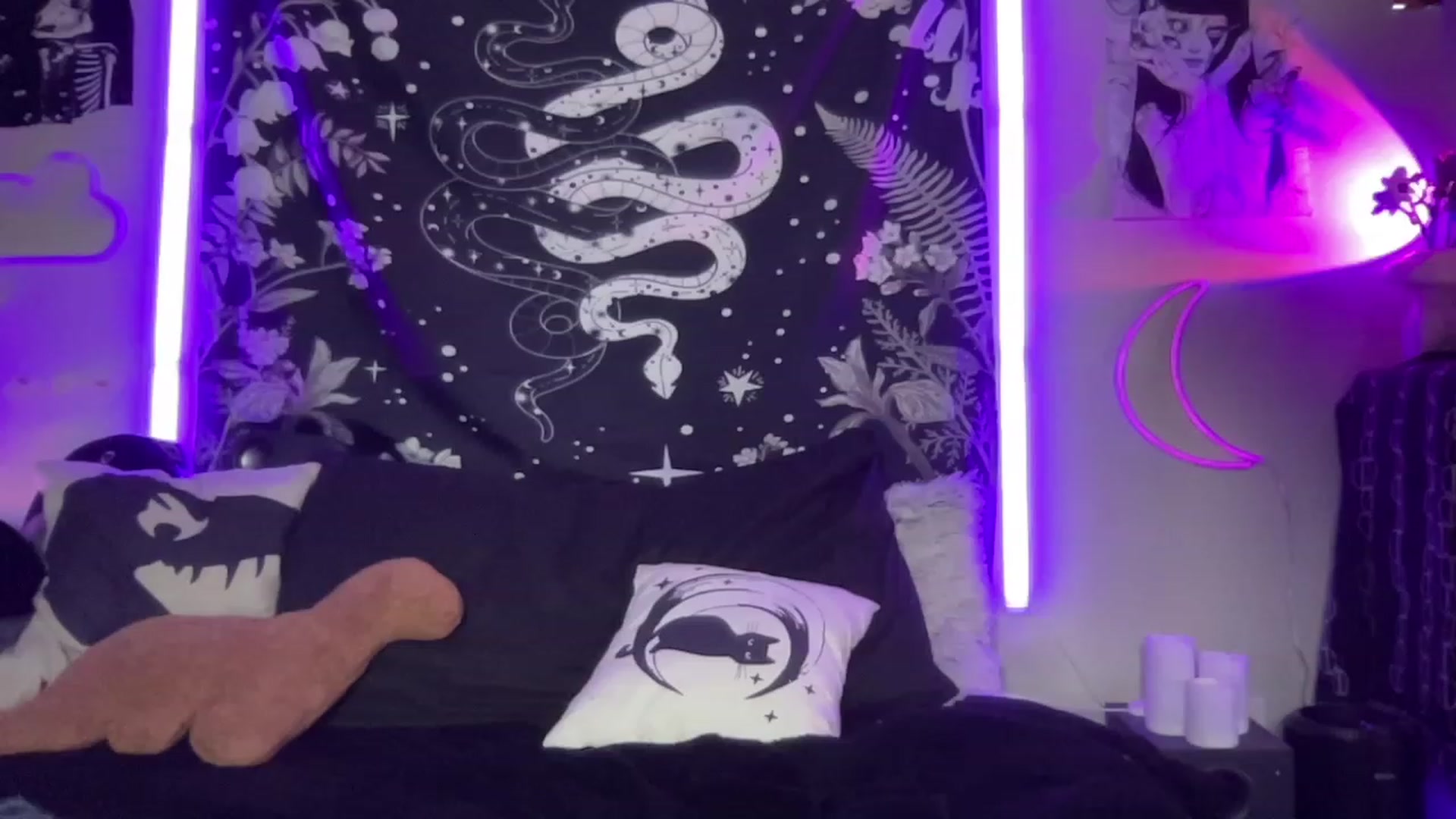 Gallery image thumbnail from RileyWoods's myfreecams stream on, 09/26/2023, 01:42 image 6 of 20