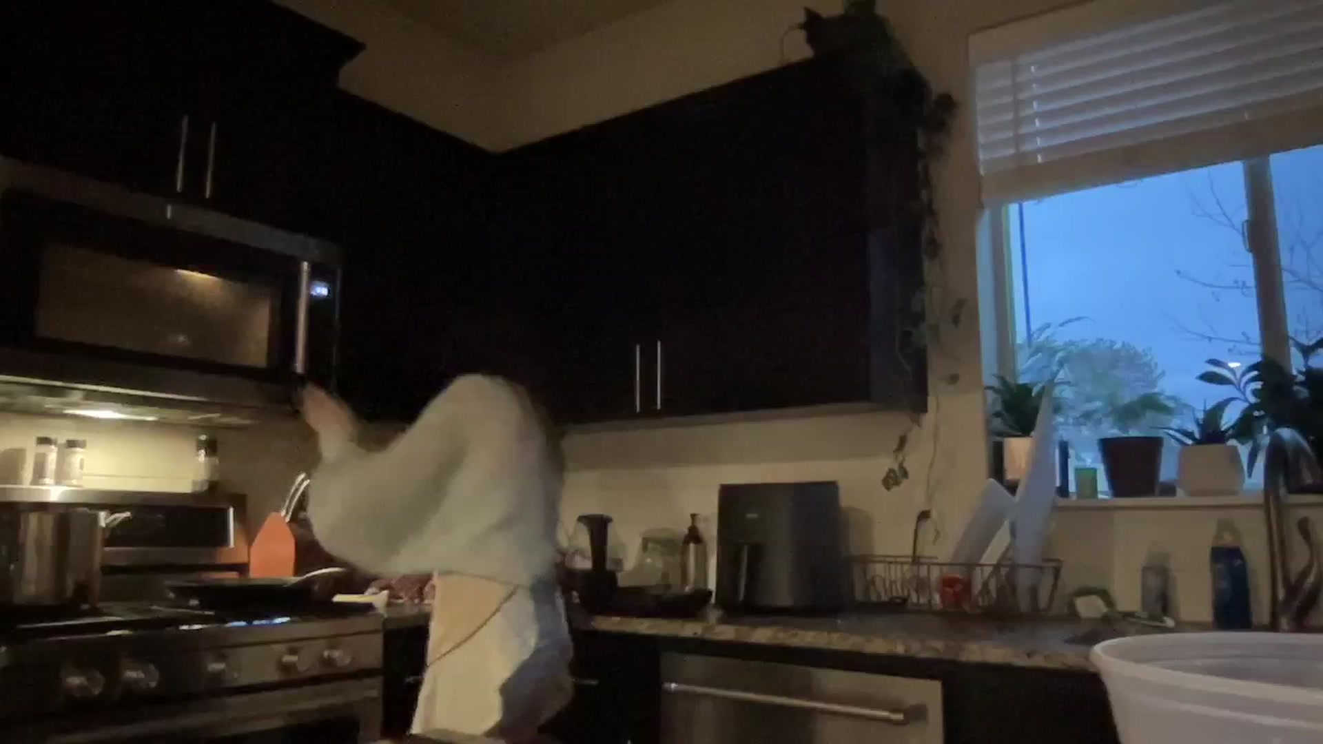 Gallery image thumbnail from RileyWoods's myfreecams stream on, 02/12/2024, 03:26 image 5 of 20