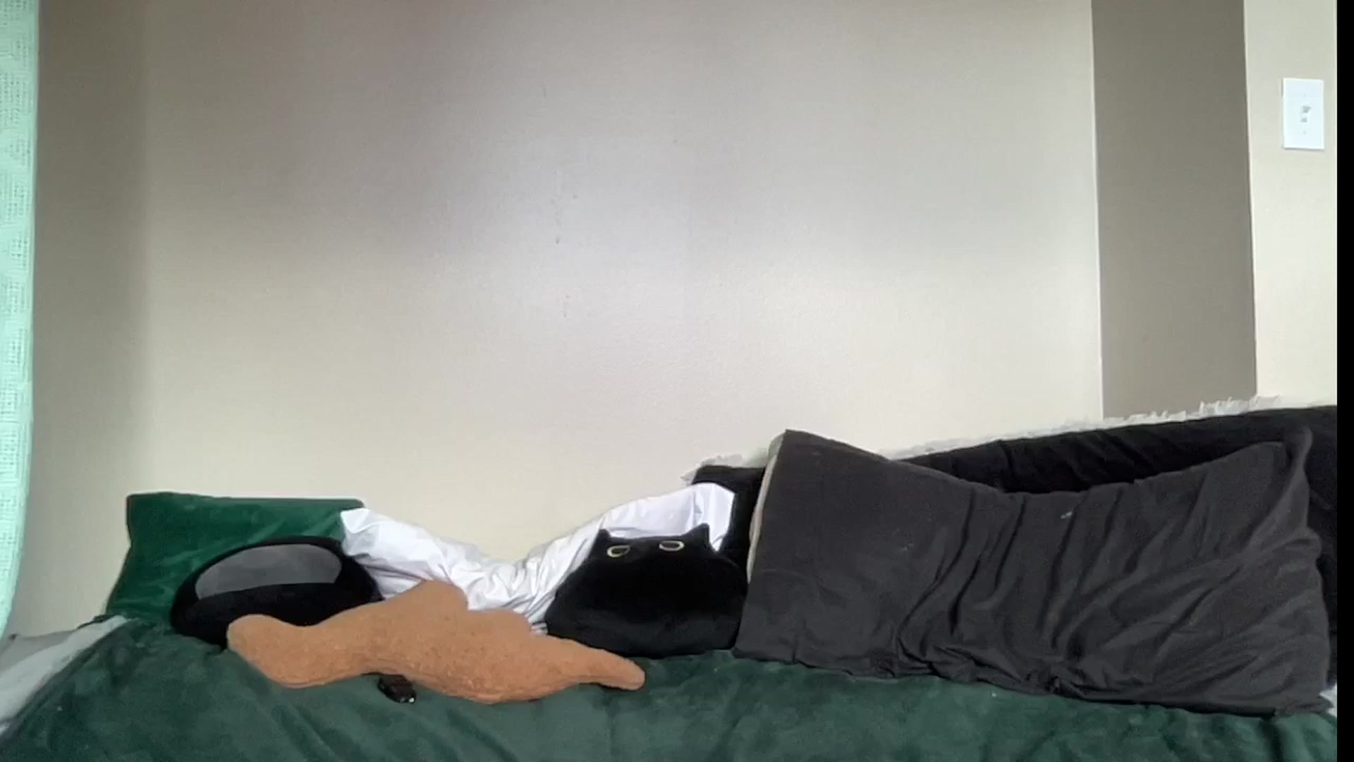 Gallery image thumbnail from RileyWoods's myfreecams stream on, 07/31/2024, 02:31 image 13 of 20