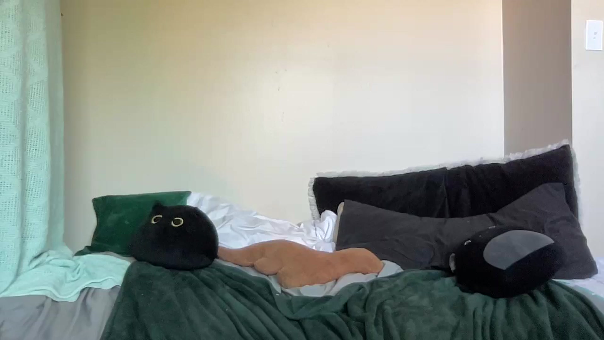 Gallery image thumbnail from RileyWoods's myfreecams stream on, 08/01/2024, 01:51 image 13 of 20