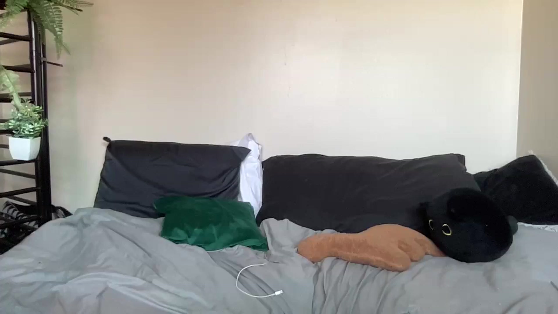 Gallery image thumbnail from RileyWoods's myfreecams stream on, 08/03/2024, 01:03 image 9 of 20