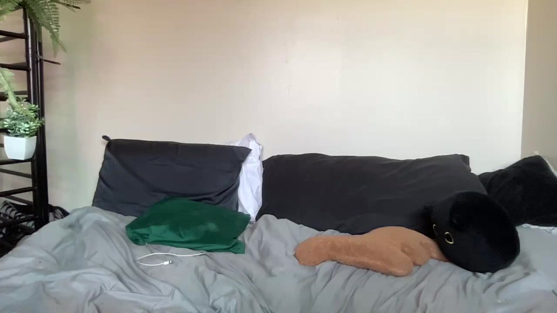 Gallery image thumbnail from RileyWoods's myfreecams stream on, 08/03/2024, 01:03 image 17 of 20