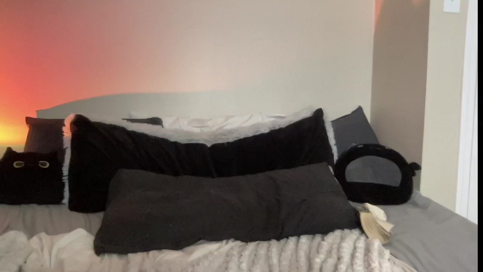 Gallery image thumbnail from RileyWoods's myfreecams stream on, 08/08/2024, 24:33 image 19 of 20