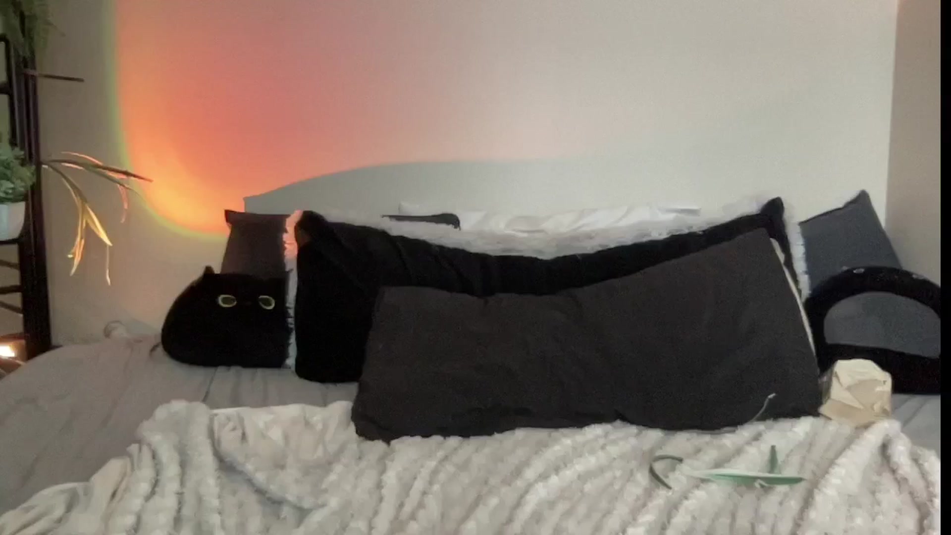 Gallery image thumbnail from RileyWoods's myfreecams stream on, 08/08/2024, 24:33 image 3 of 20