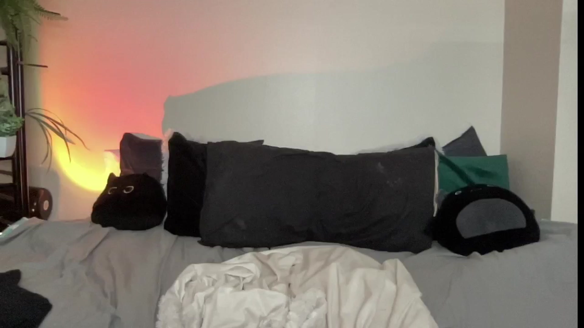 Gallery image thumbnail from RileyWoods's myfreecams stream on, 08/09/2024, 24:19 image 12 of 20