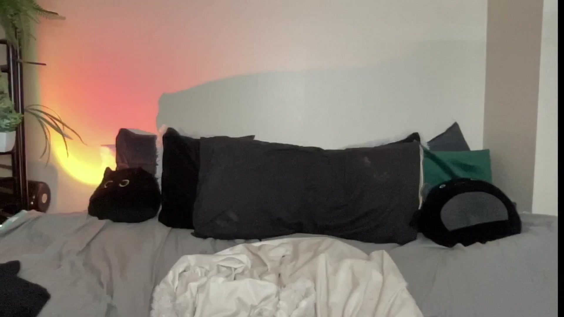 Gallery image thumbnail from RileyWoods's myfreecams stream on, 08/09/2024, 24:19 image 13 of 20