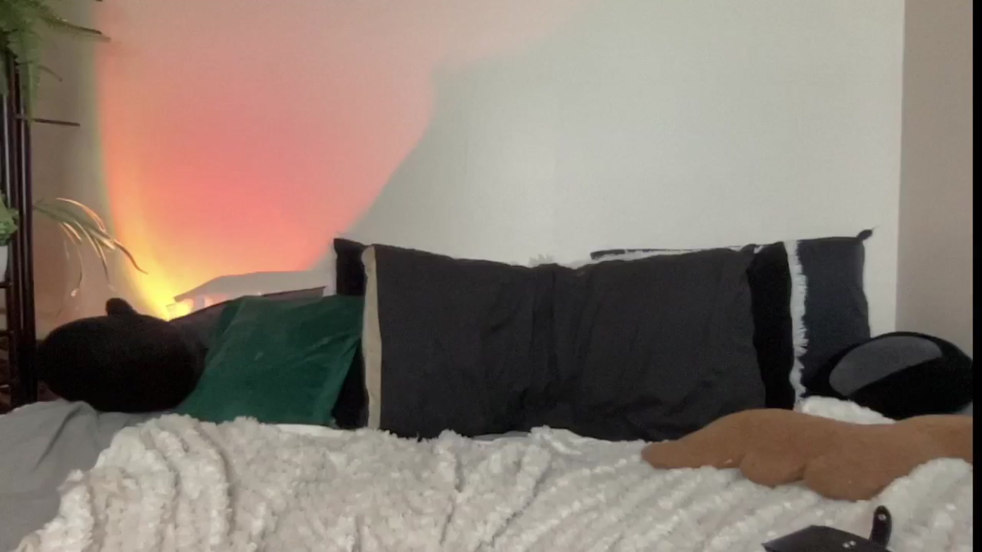 Gallery image thumbnail from RileyWoods's myfreecams stream on, 08/10/2024, 23:33 image 10 of 20