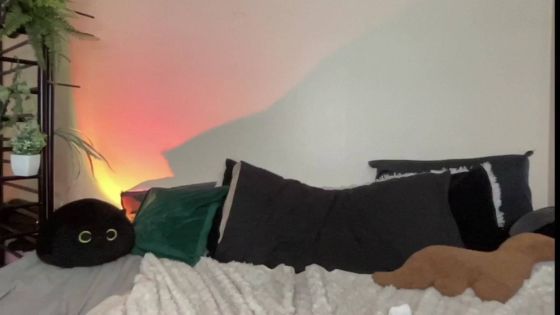 Gallery image thumbnail from RileyWoods's myfreecams stream on, 08/10/2024, 23:33 image 1 of 20