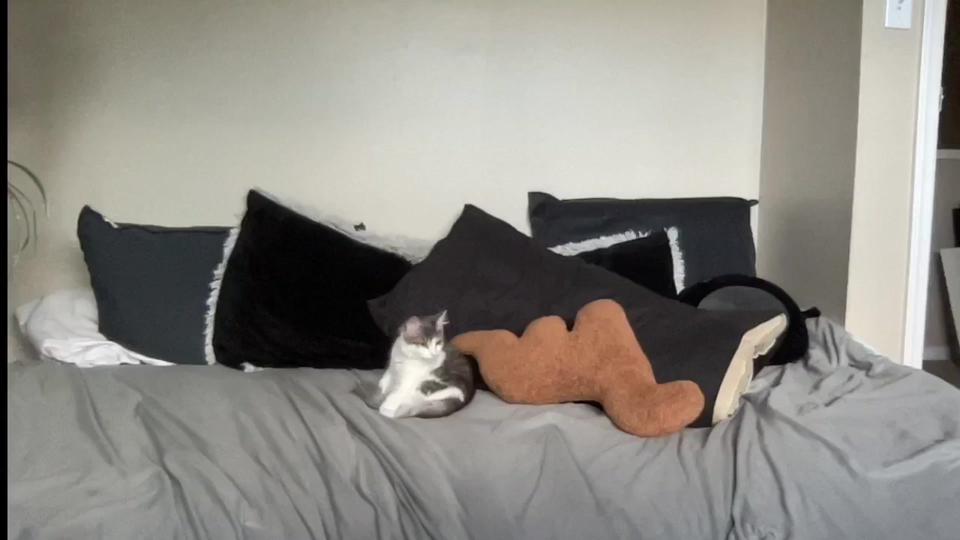 Gallery image thumbnail from RileyWoods's myfreecams stream on, 08/13/2024, 01:32 image 20 of 20