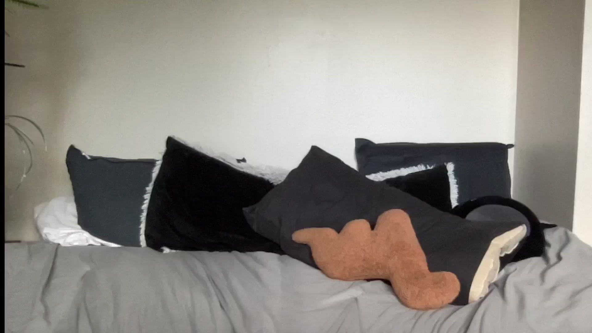 Gallery image thumbnail from RileyWoods's myfreecams stream on, 08/13/2024, 01:32 image 14 of 20